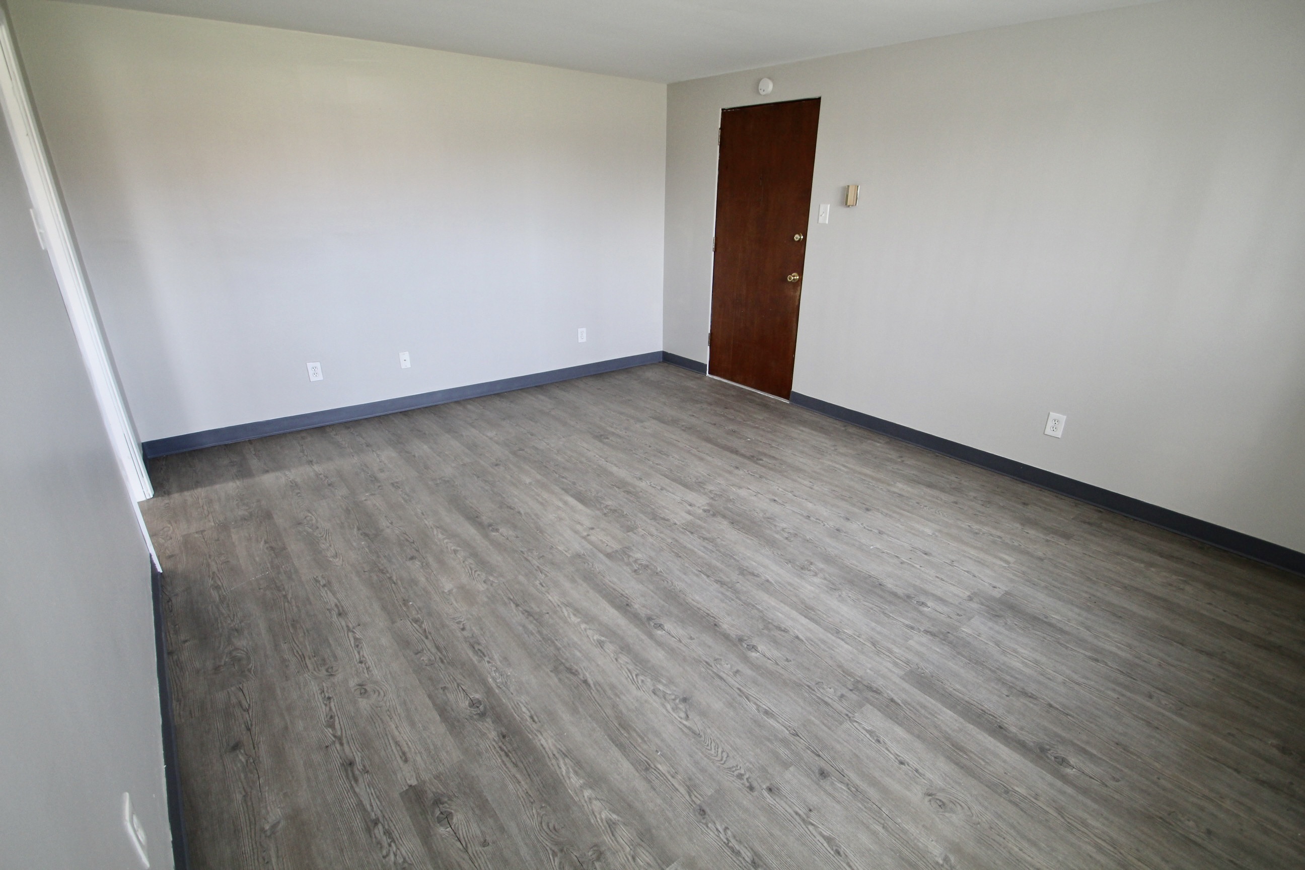 234 Roth St unit 1 – photo 4
