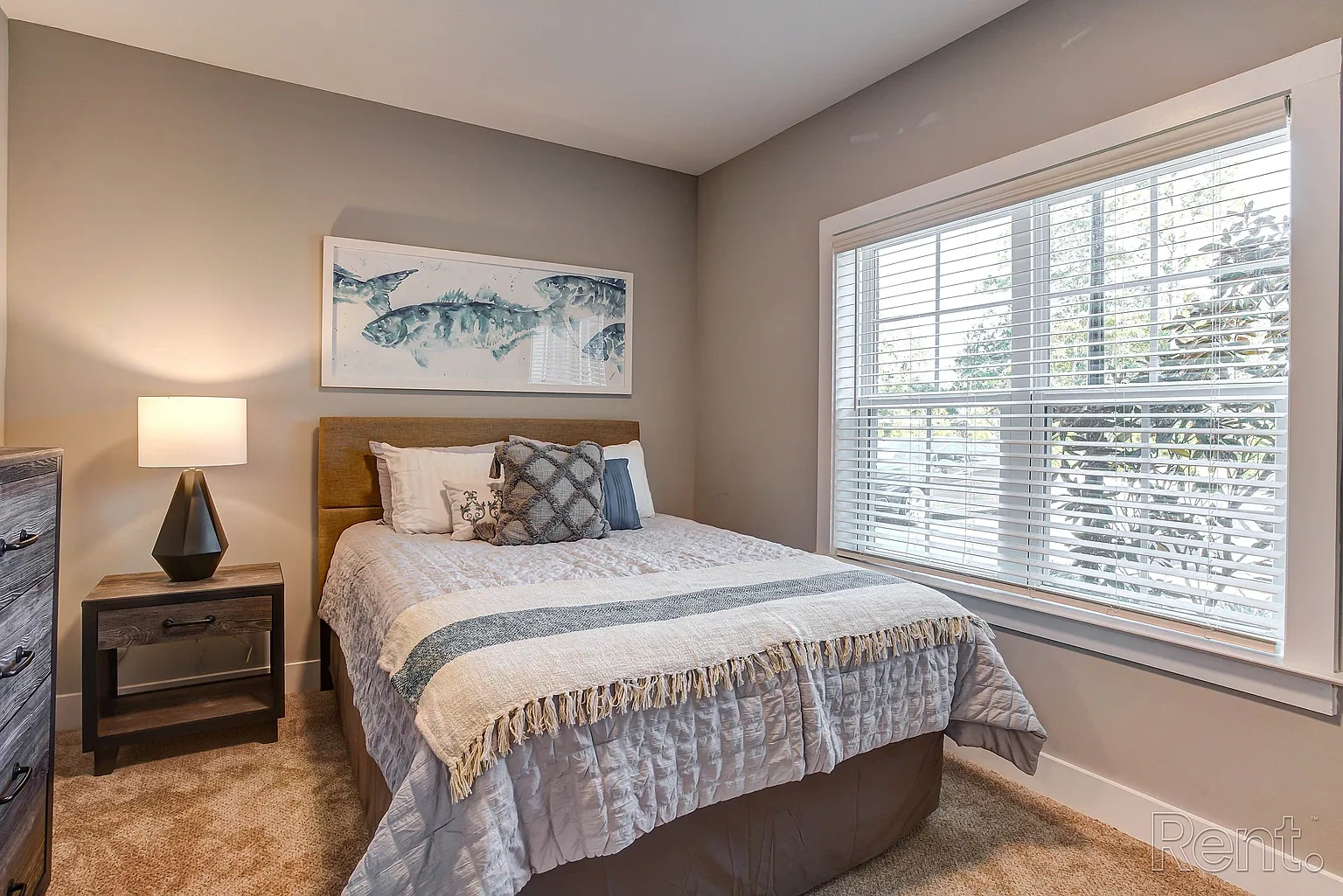 Barclay Place Apartments – photo 5