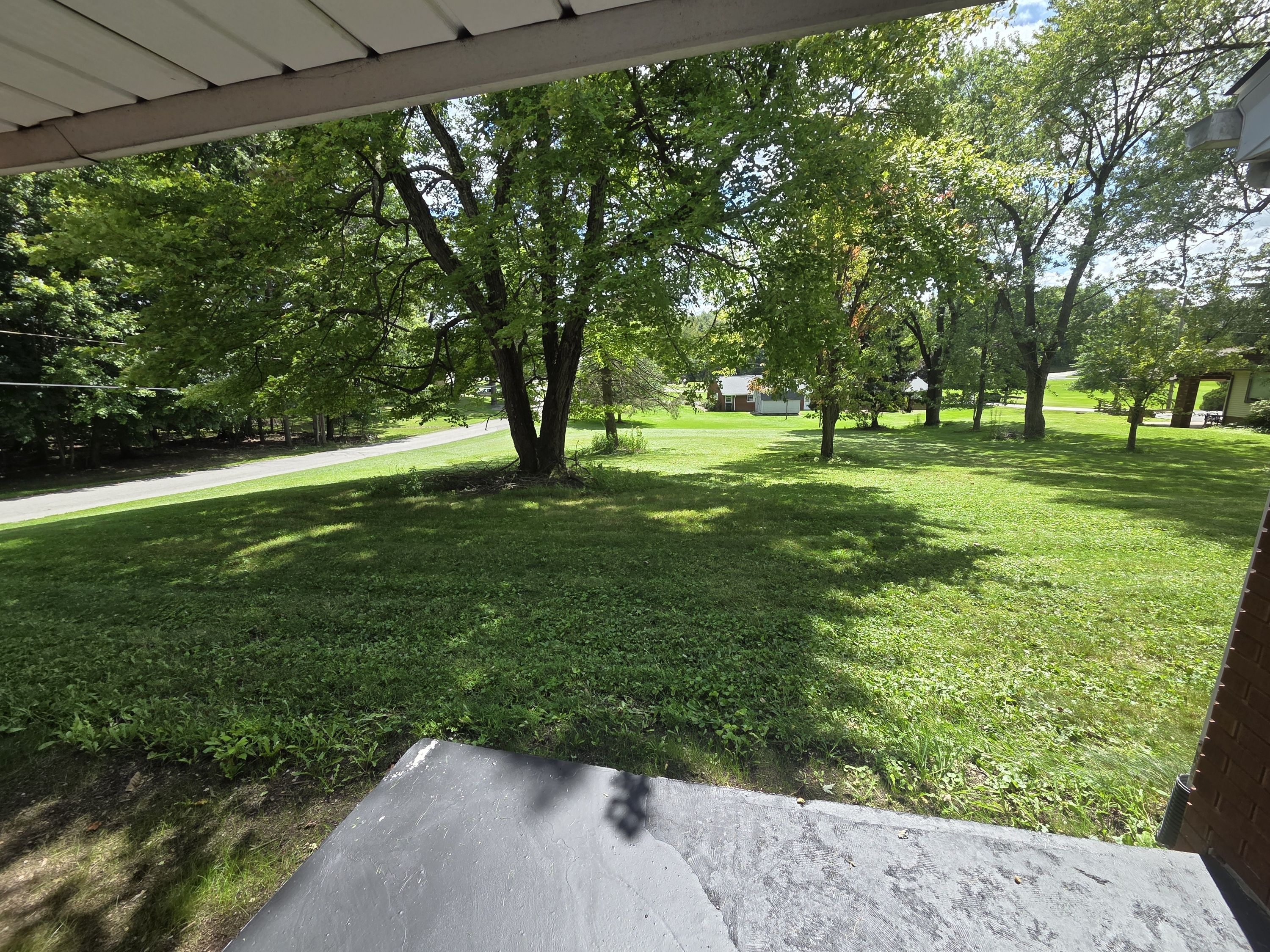 117 Bradshaw St – photo 4