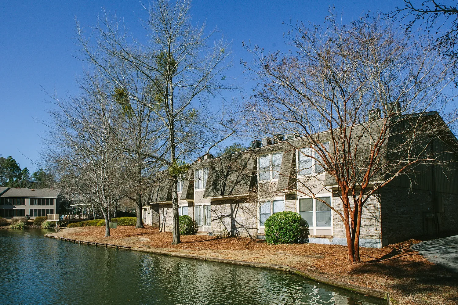 Club Hill Apartments – photo 2