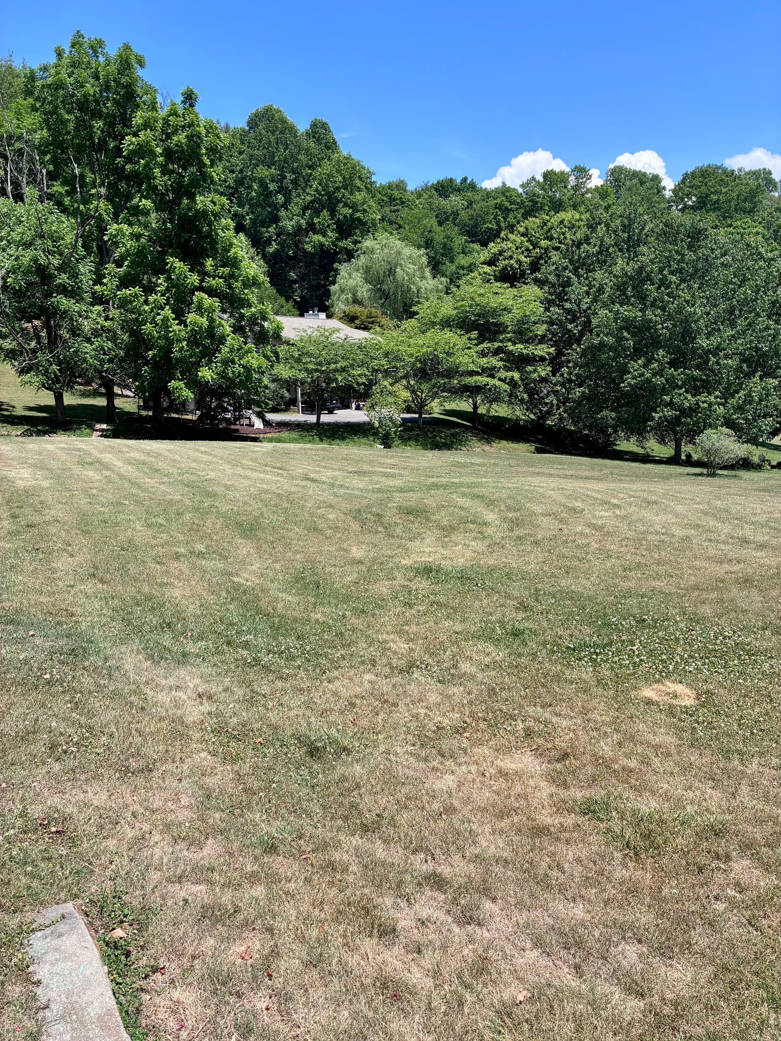 286 Kitchens Branch Rd – photo 3