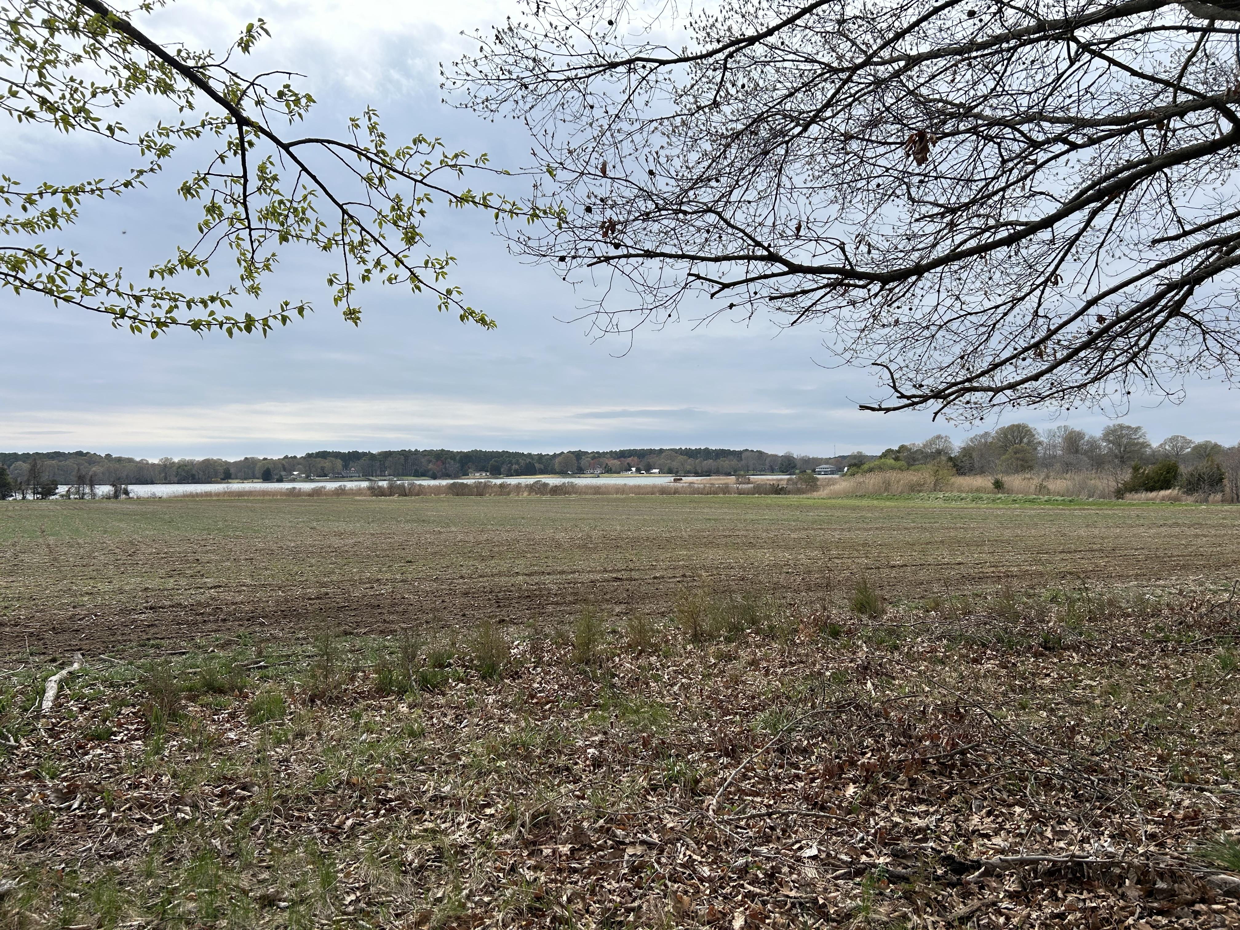 23193 Cedar Point Rd – photo 2
