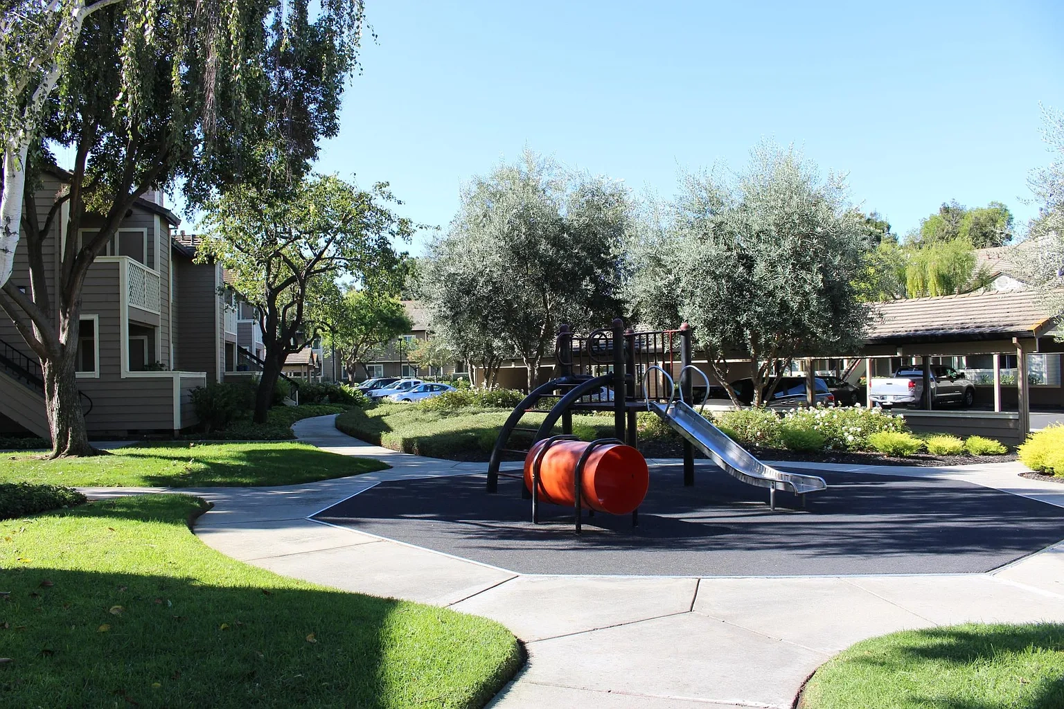 Amberwood – photo 1