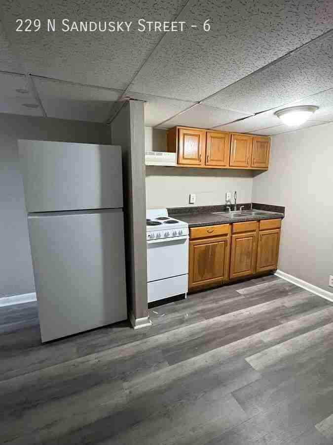 229 N Sandusky St unit 6 – photo 3