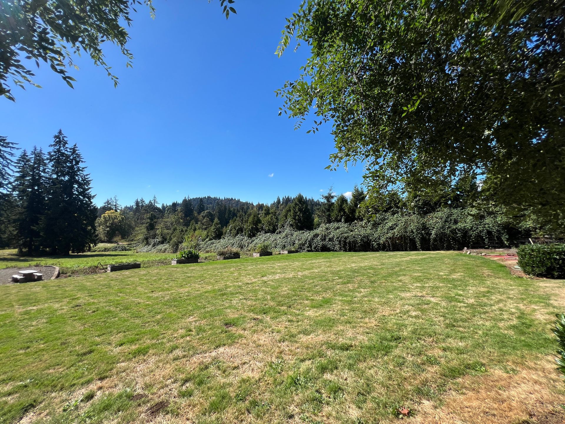 8031 SE Orient Dr – photo 4