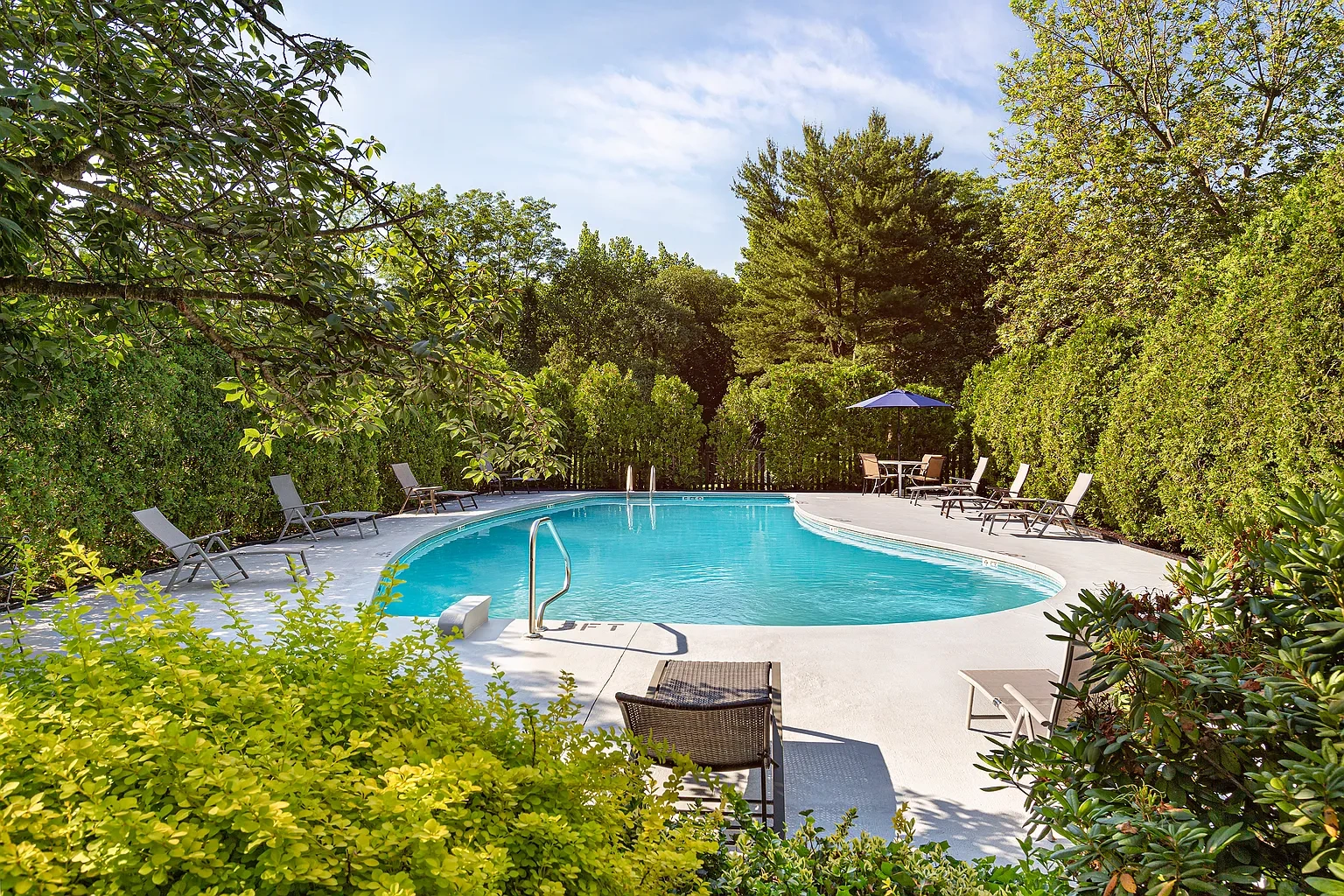 Sprucewood – photo 4