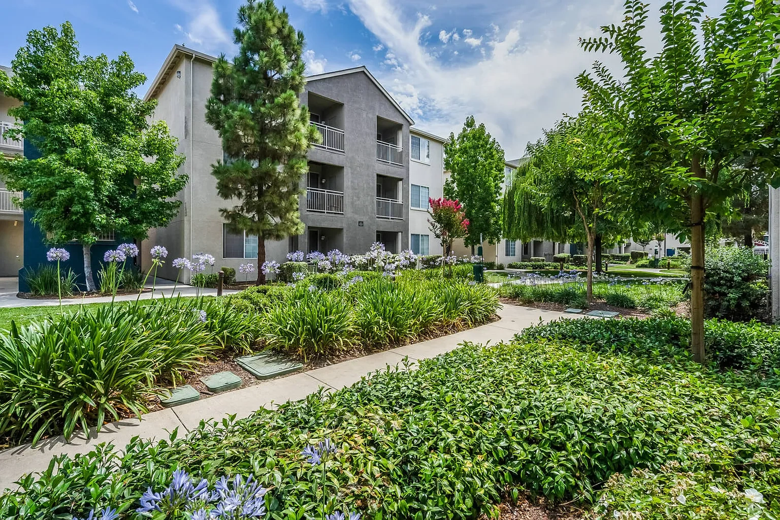 Pavona Apartments – photo 5