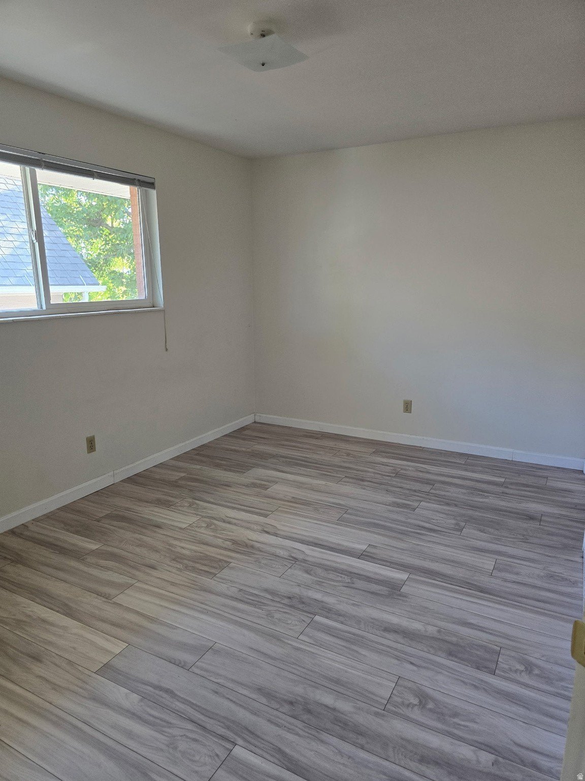 327 D St E – photo 4