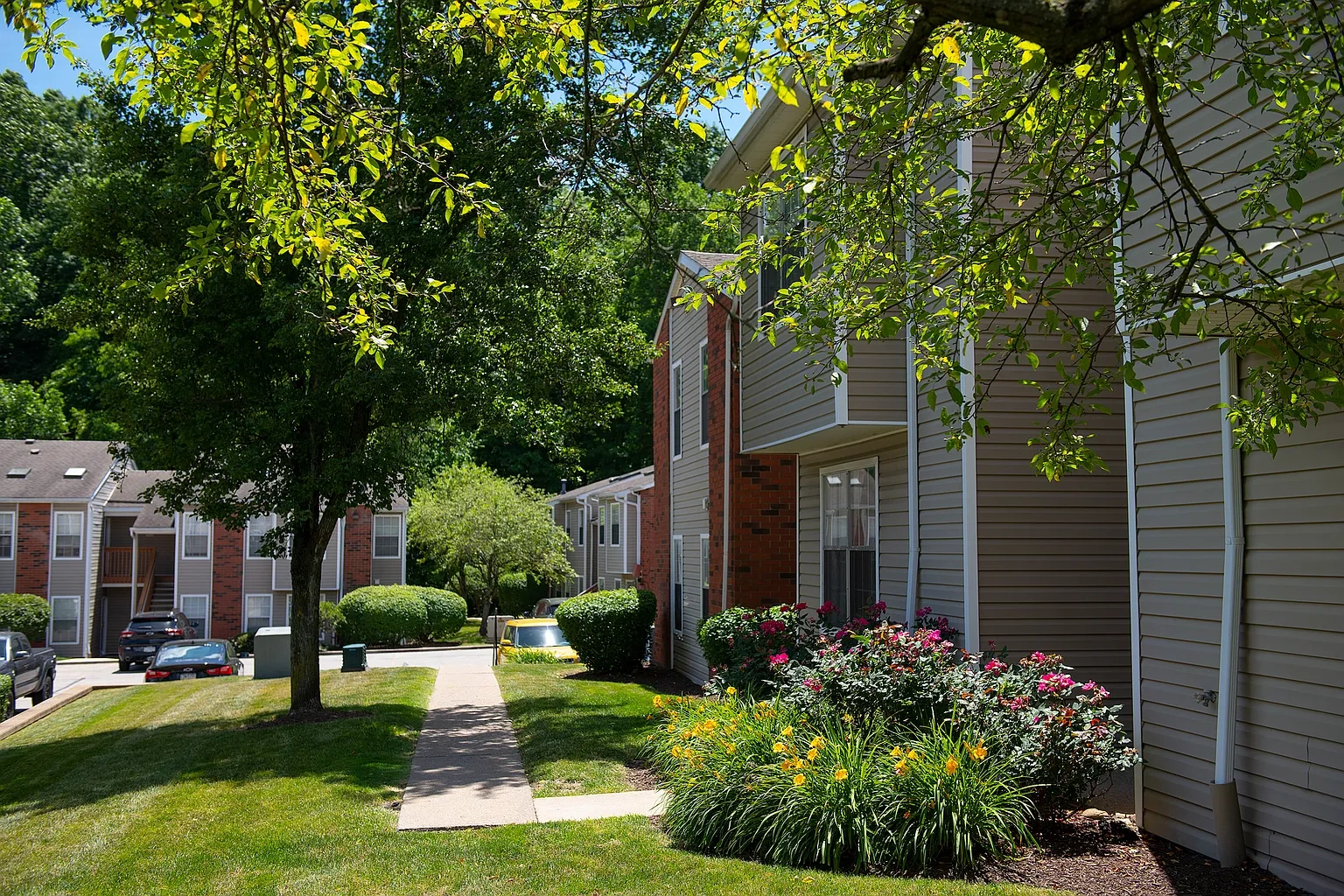 Chestnut Ridge Apartments – photo 5