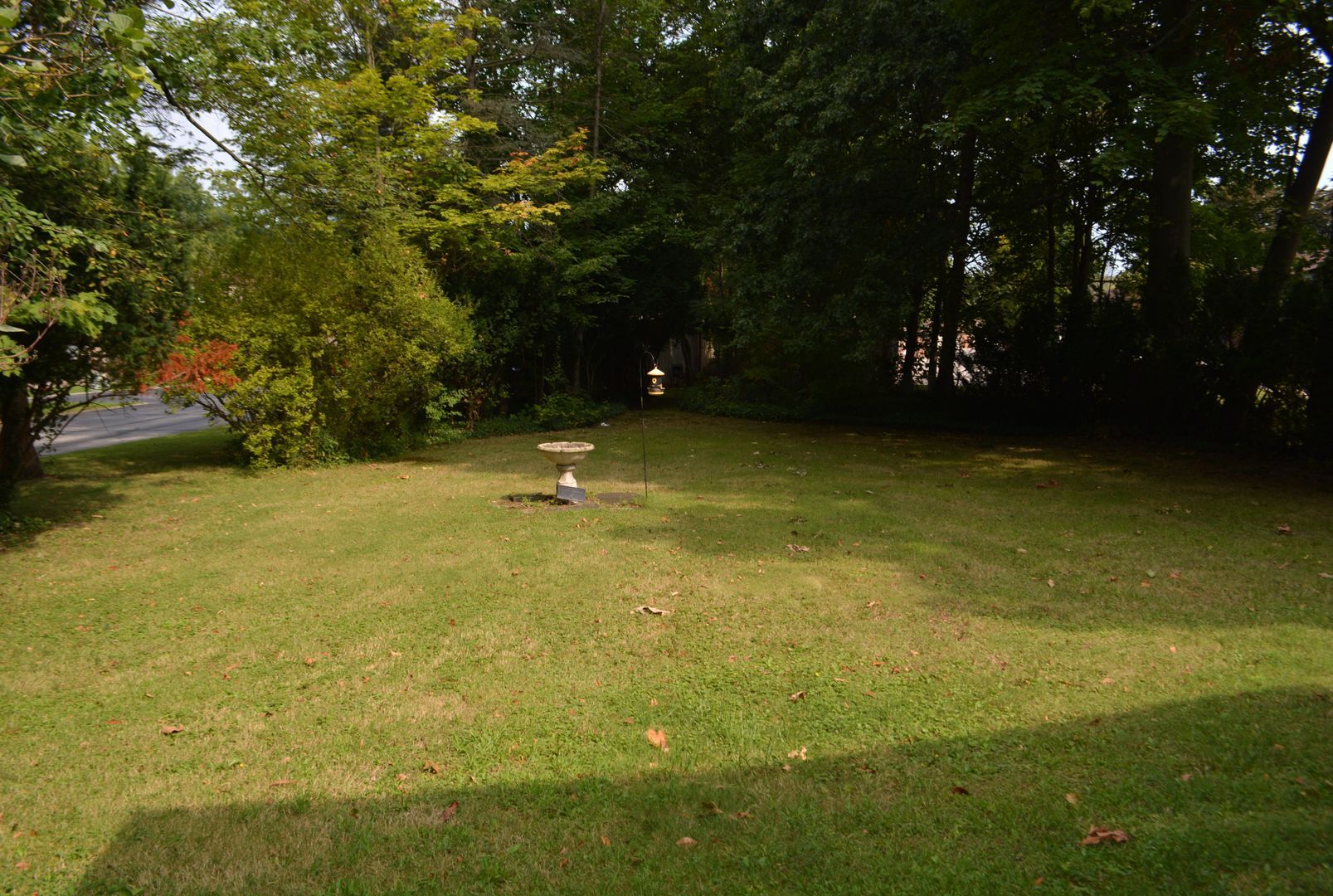 22966 Mastick Rd – photo 2