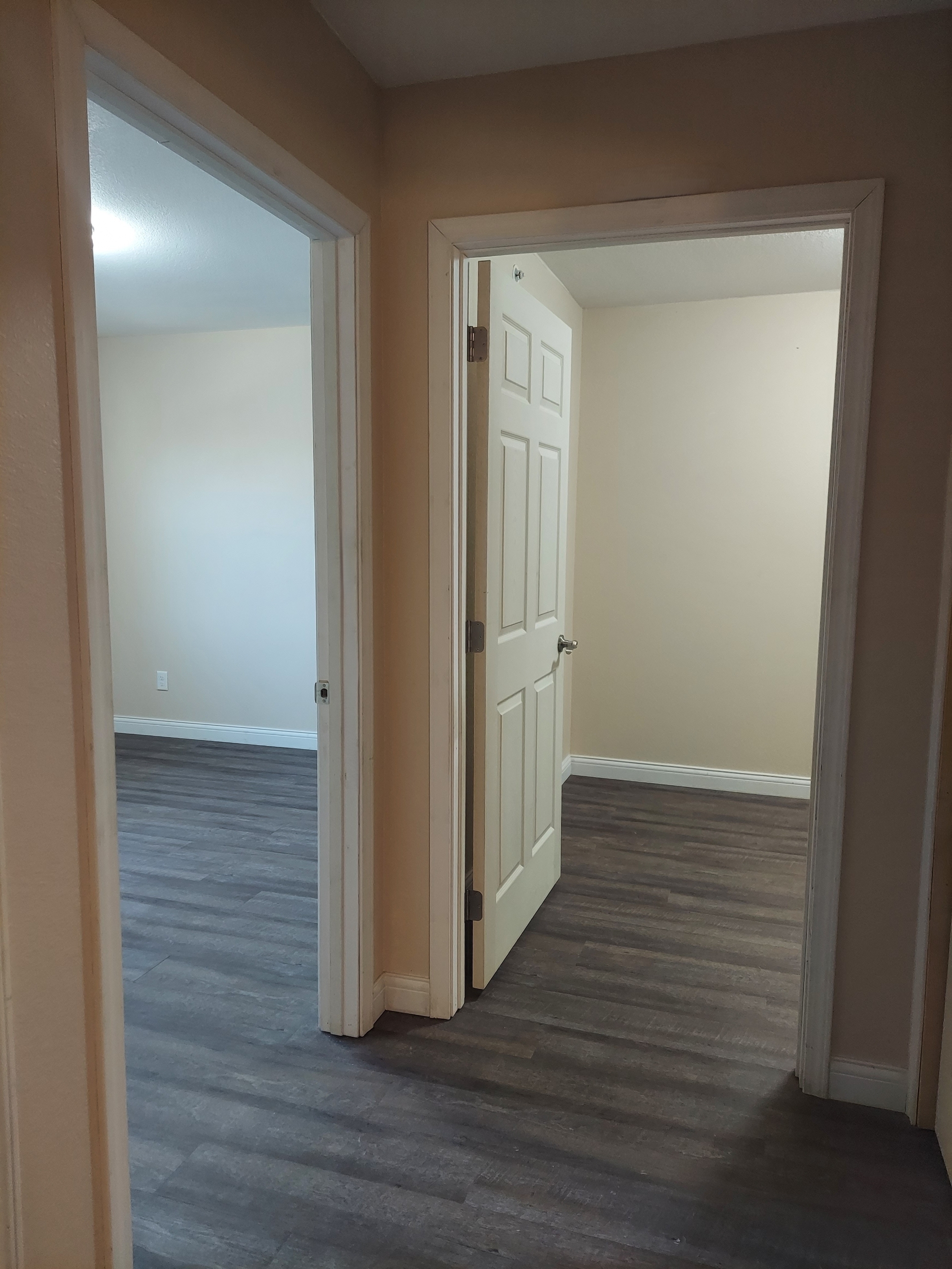 52 Westwood Dr unit 5 – photo 5
