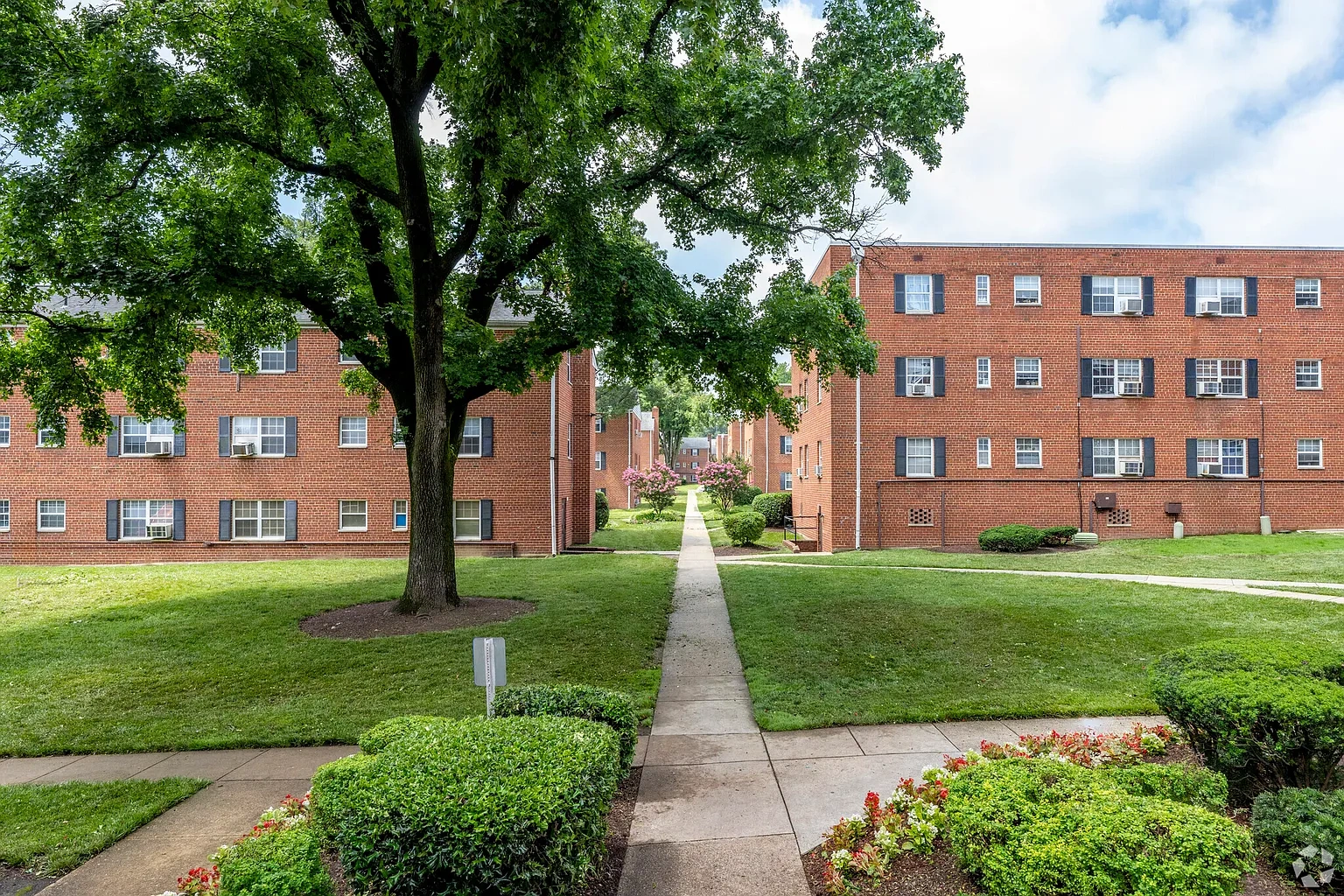 Univeristy City Apartments – photo 3