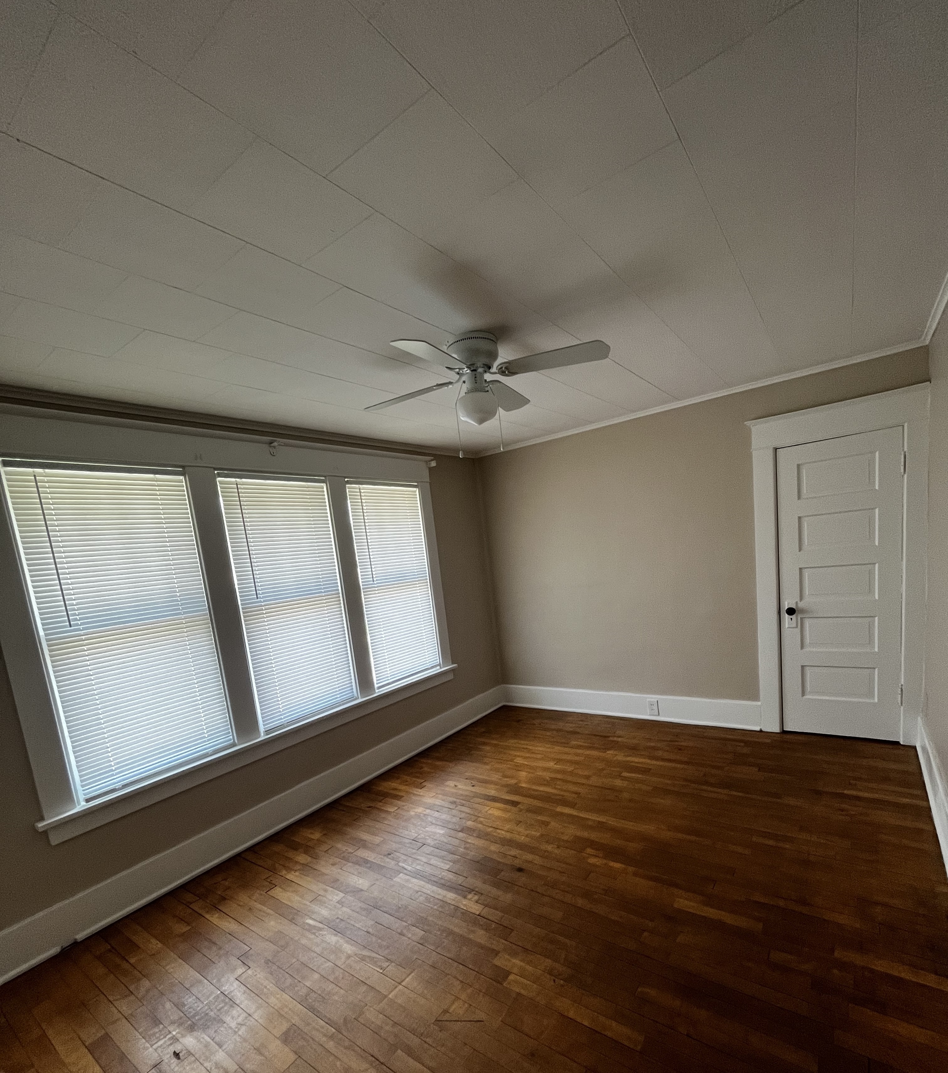 213 W Downie St unit B – photo 3