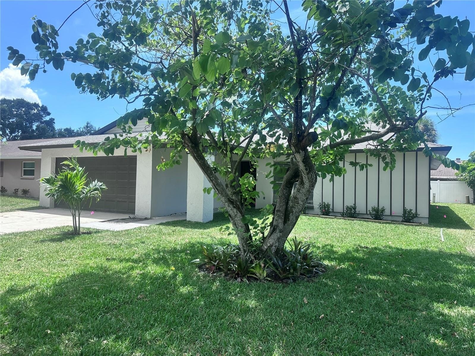 2380 Timbercrest Cir W – photo 2