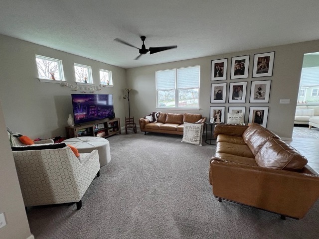 884 Boulder Dr. – photo 5