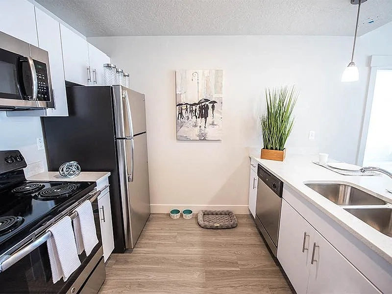 District North Apartments – photo 4