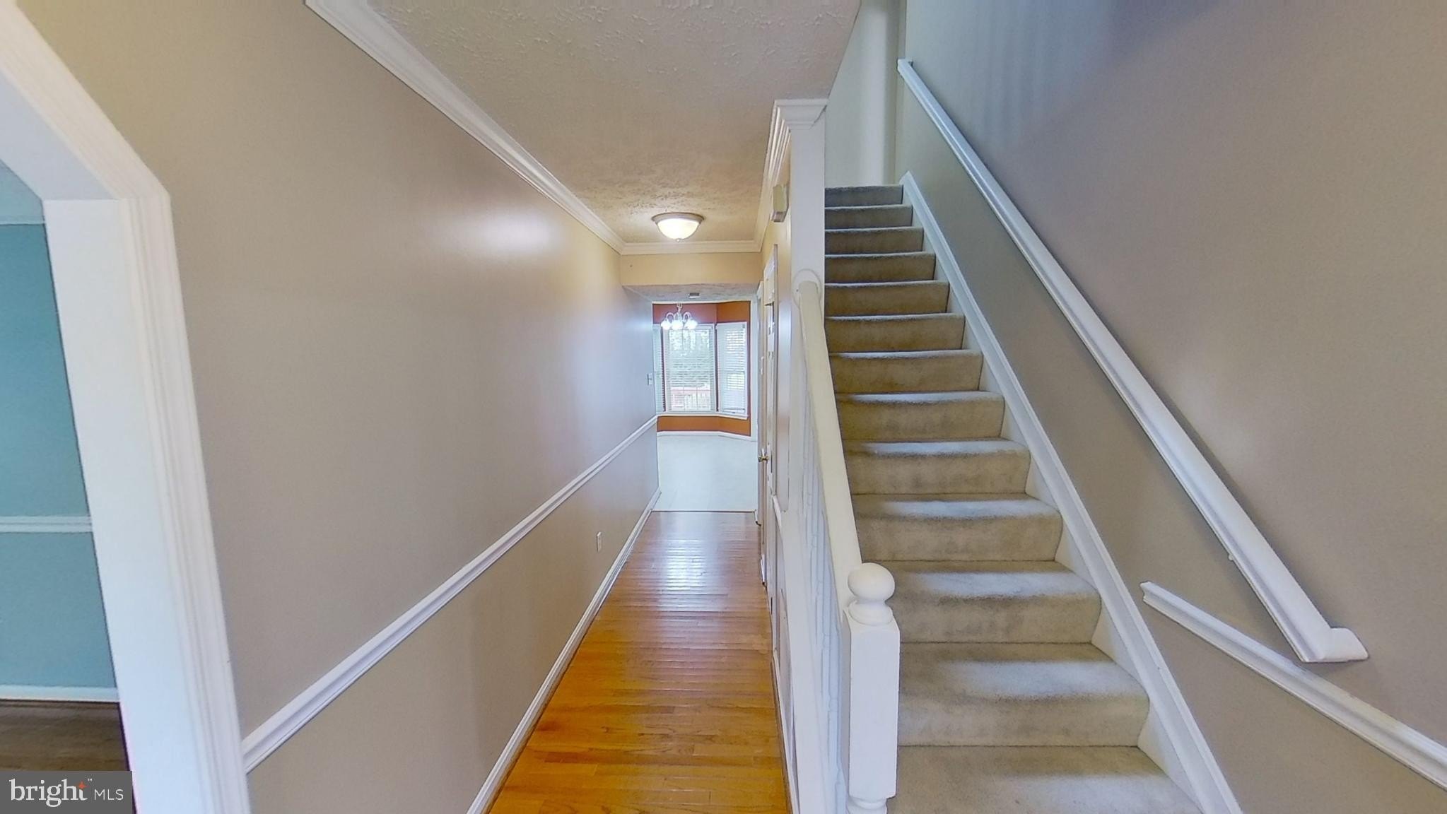 5911 Herring Ct – photo 5