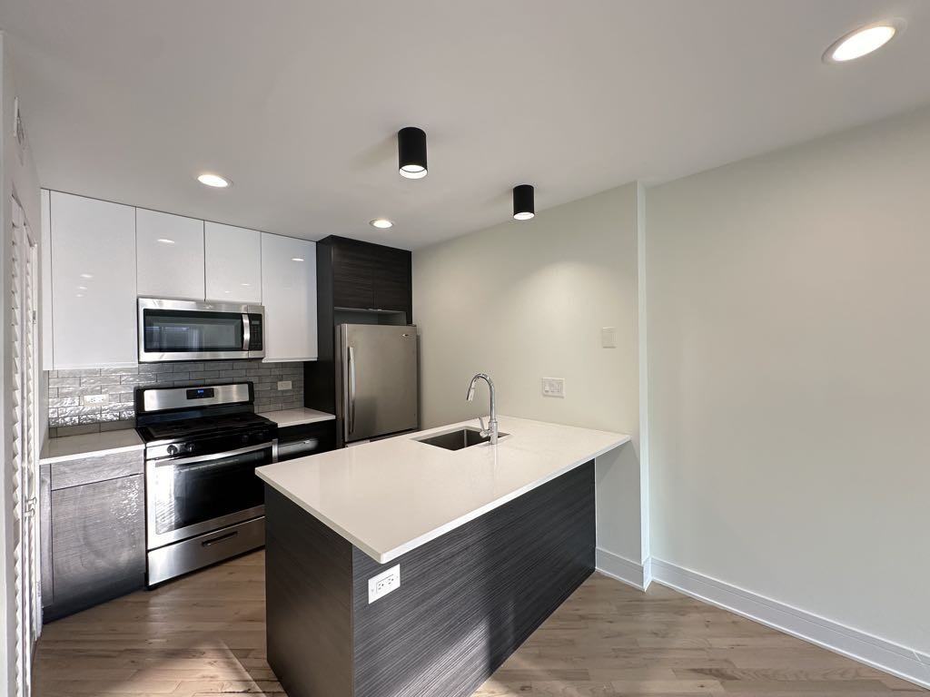 944 W Grace St unit B201 – photo 2