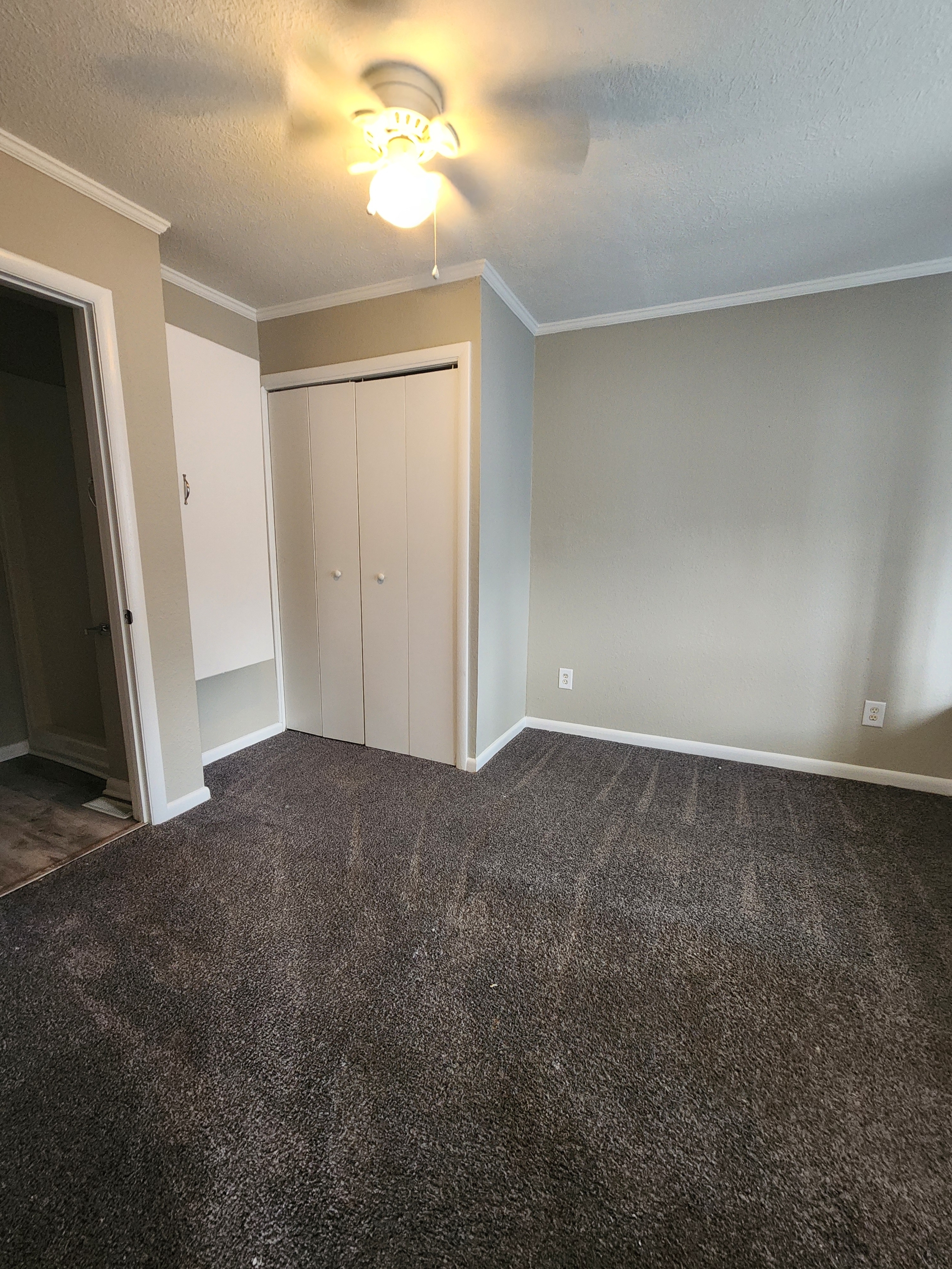 1319 Autumn Ave unit D – photo 2