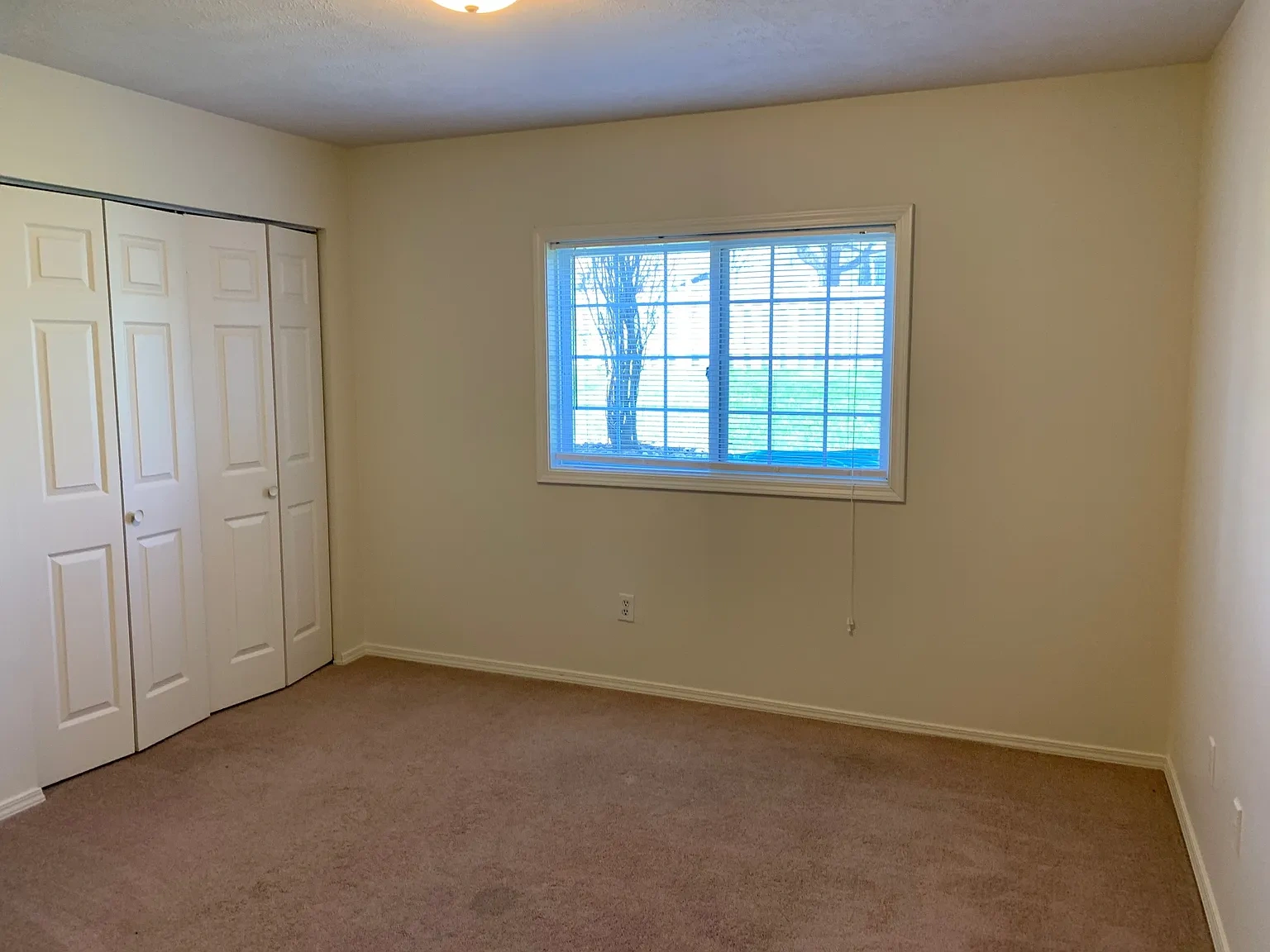 3 Stortz Dr – photo 1