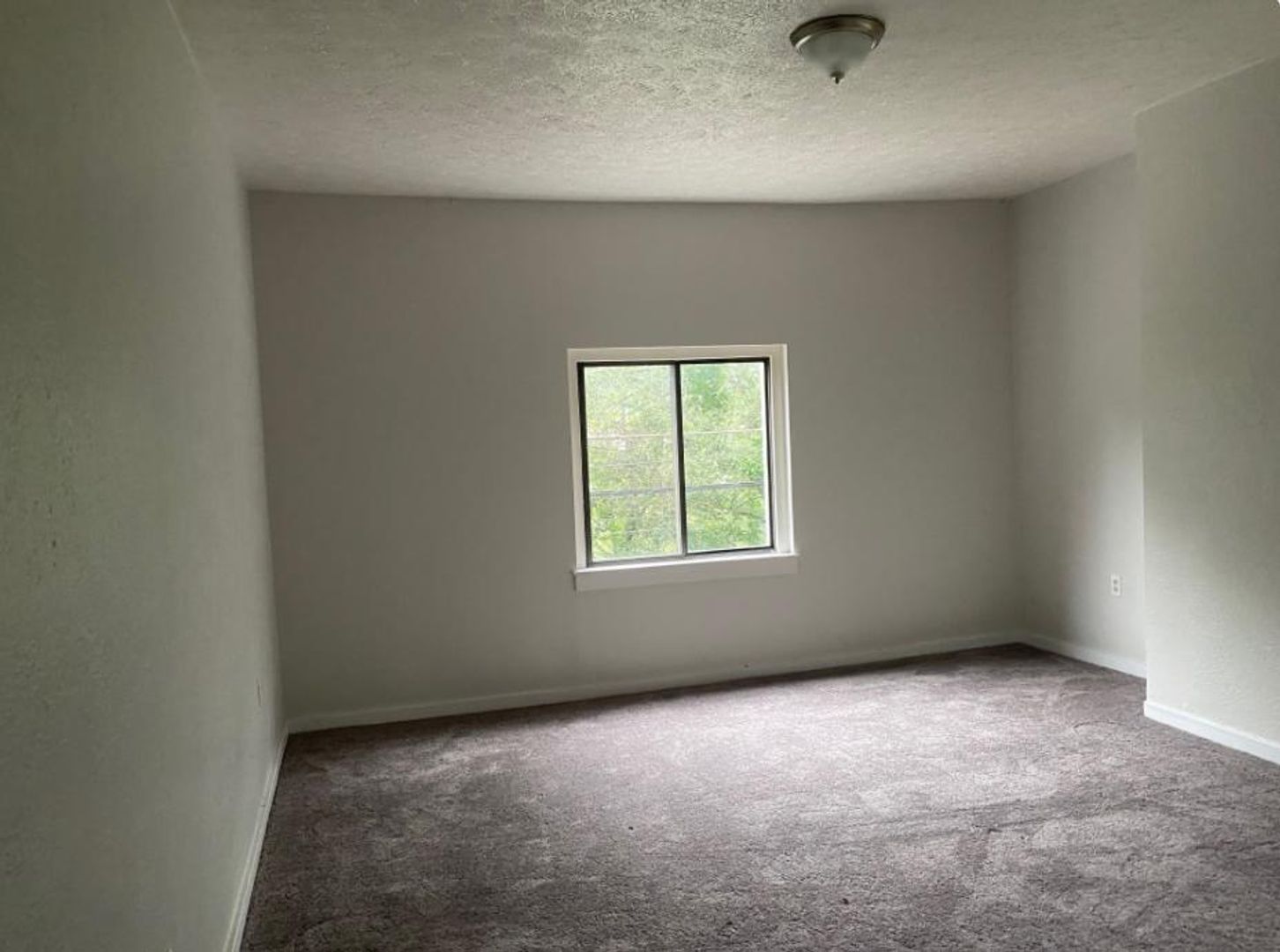 29 Lawn St unit Unit 2 – photo 5
