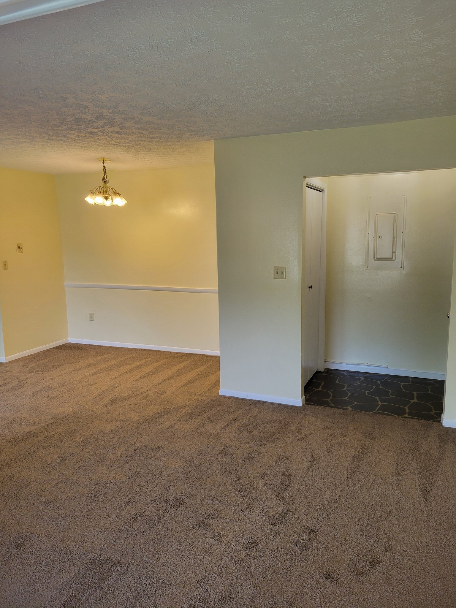515 Powell Ln unit 2 – photo 2