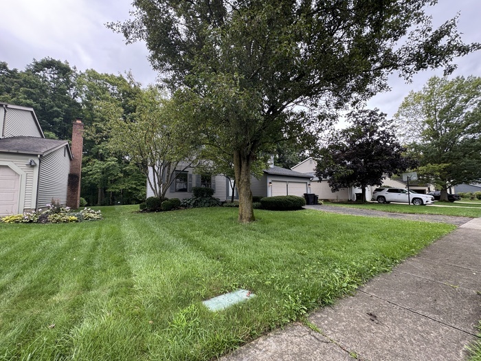 564 Glenside Ln – photo 3