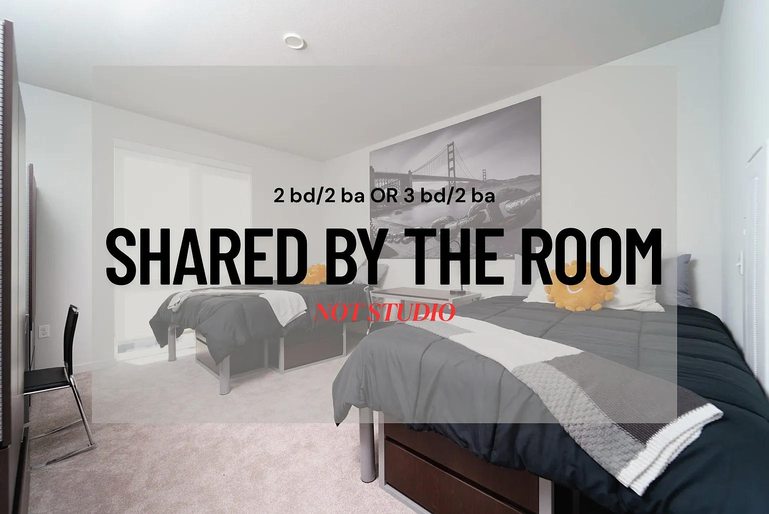 The Lair – photo 4