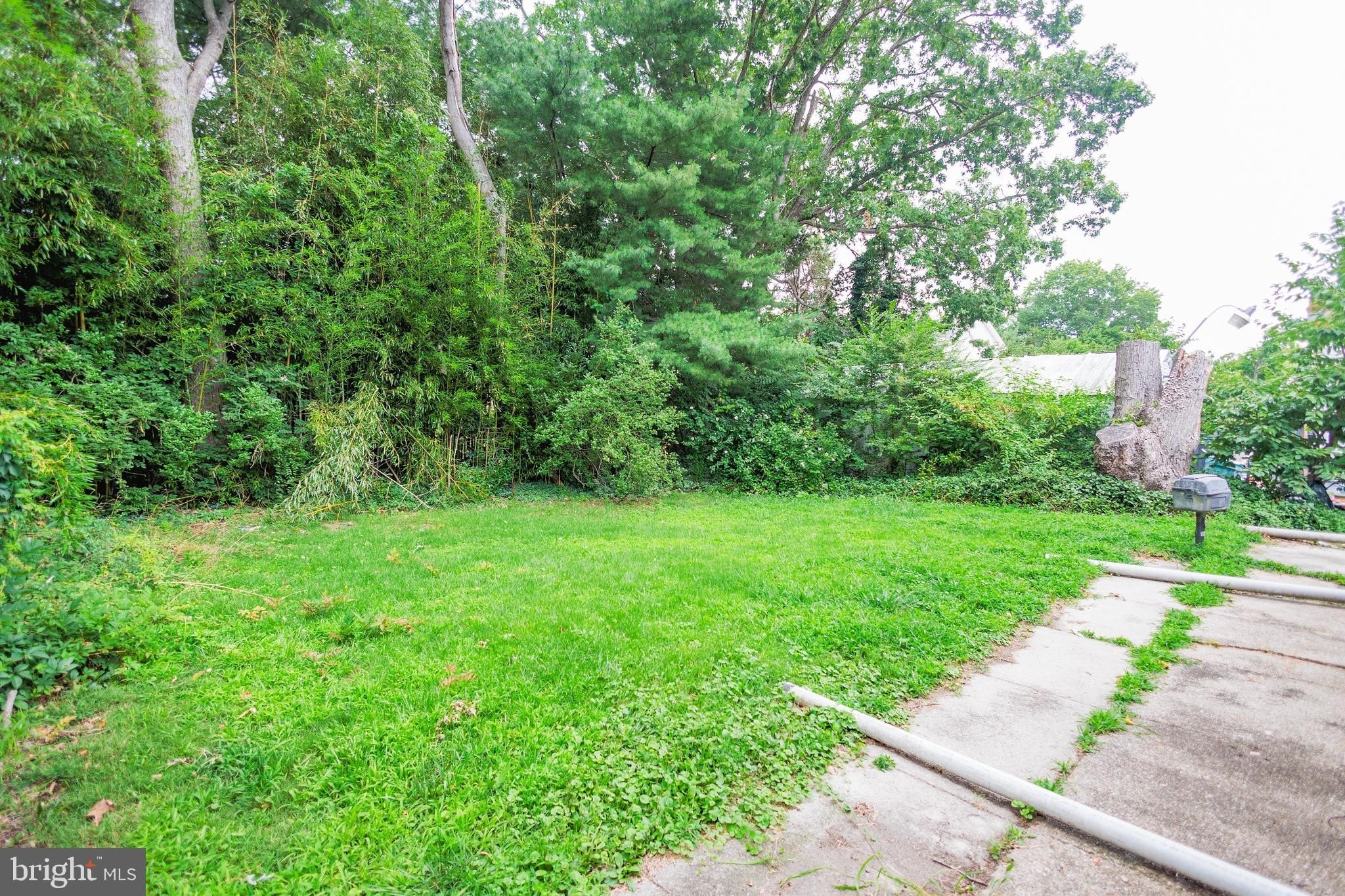 407 High St W – photo 3