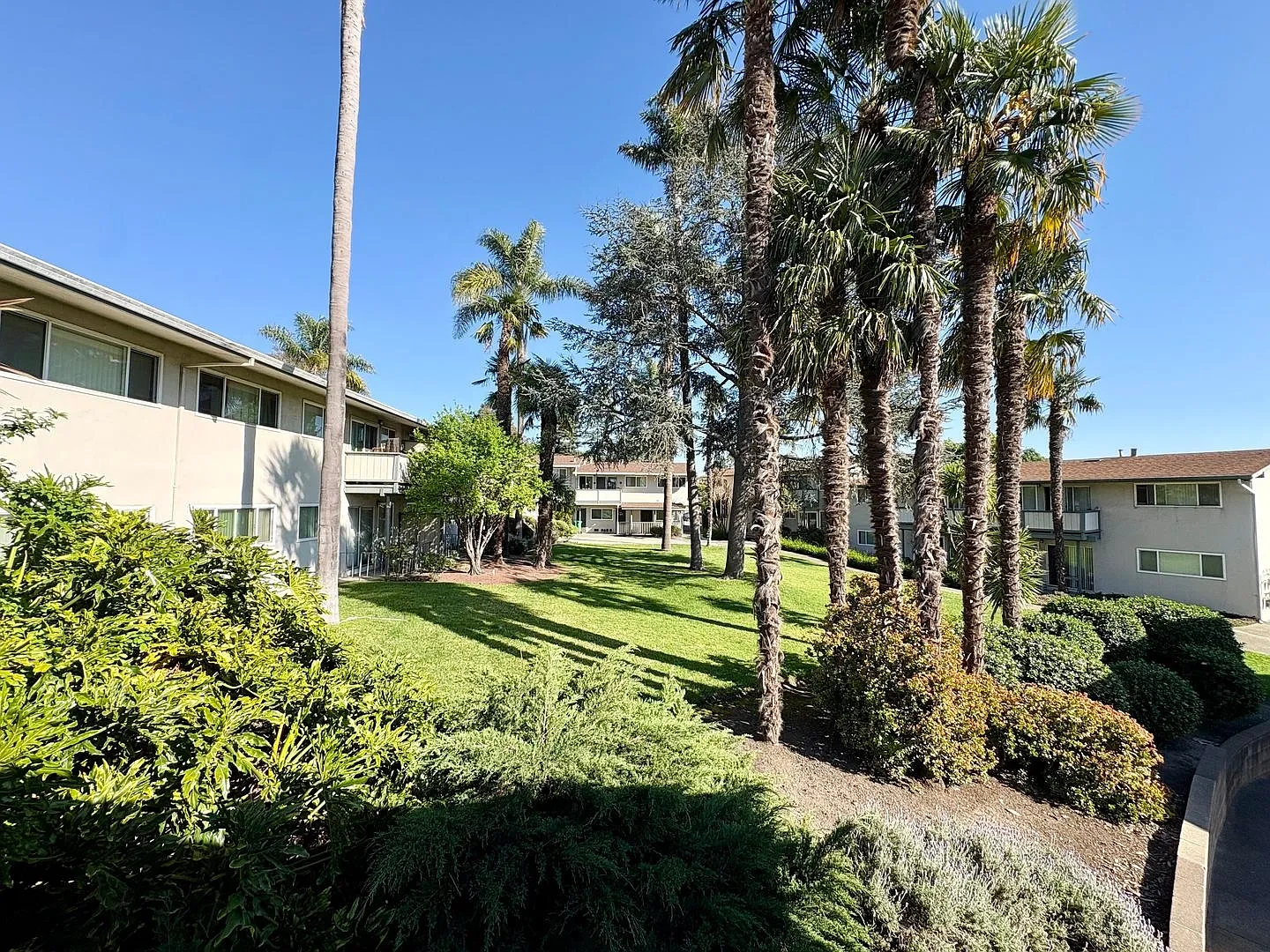 Fairmount Palms – photo 5