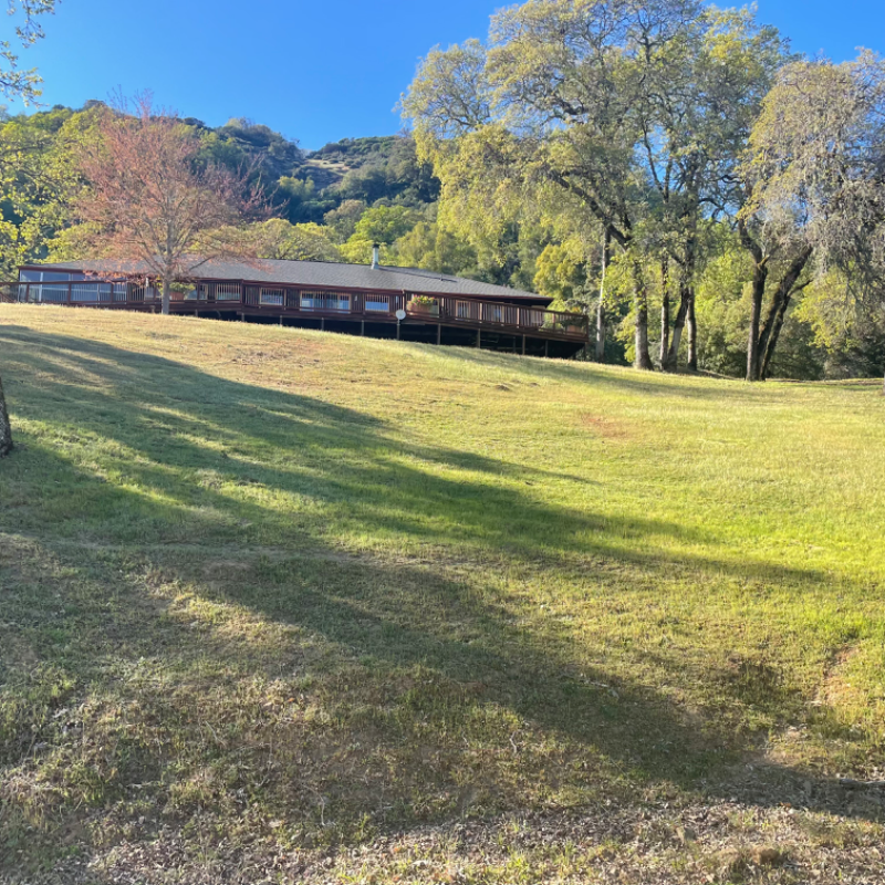 8670 Feliz Creek Dr – photo 3