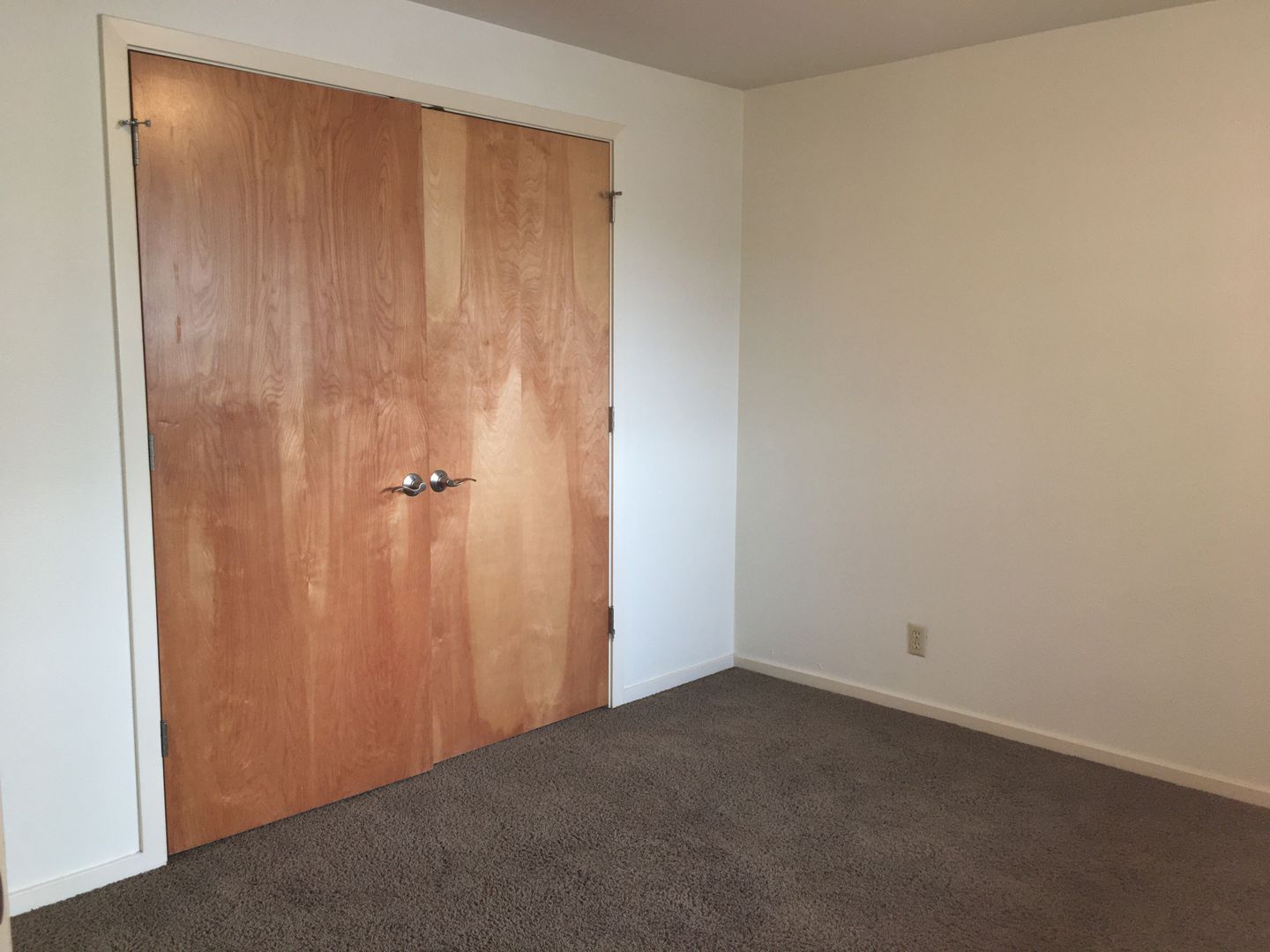 183 E 19th Ave unit 183.1 – photo 5