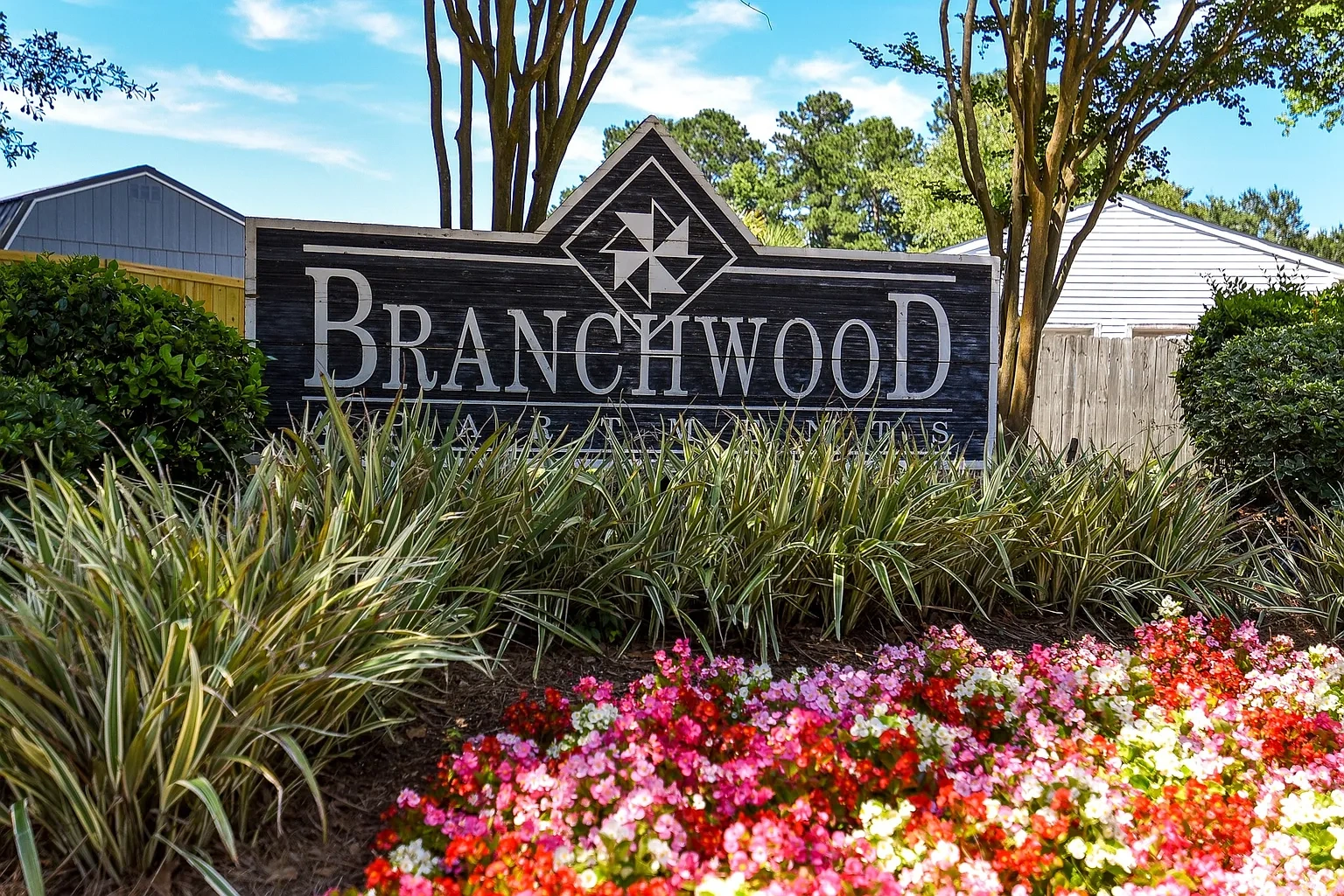 Branchwood – photo 2