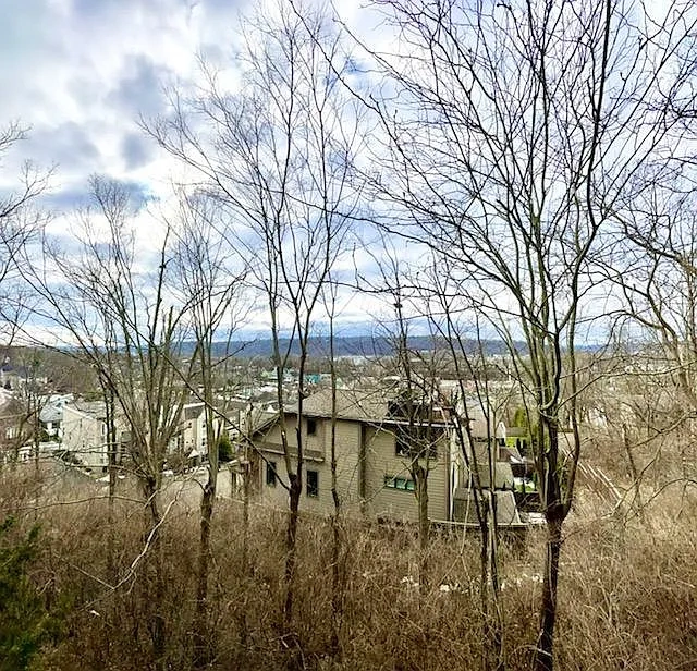 Tusculum View – photo 2