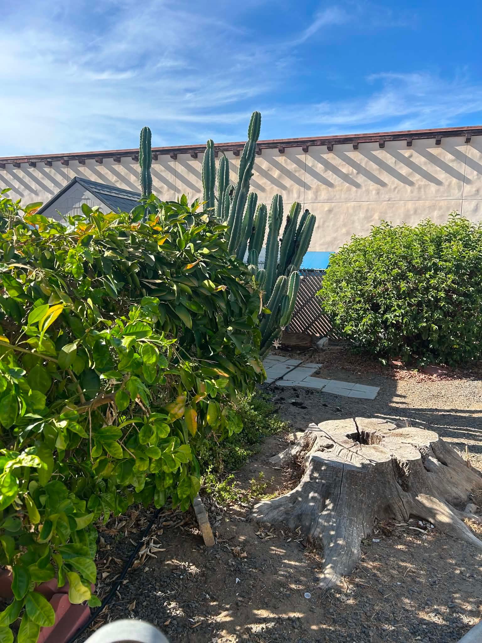 26030 San Quintin Rd – photo 4