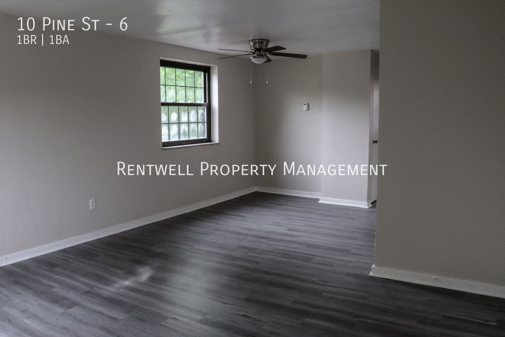 10 Pine St – photo 5