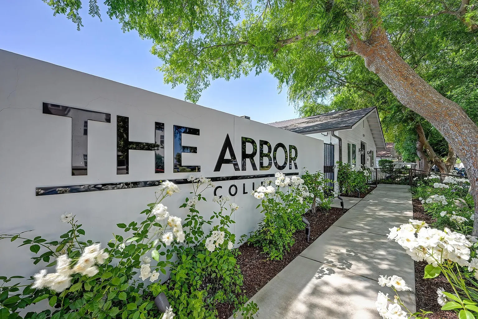 The Arbor Collection – photo 2