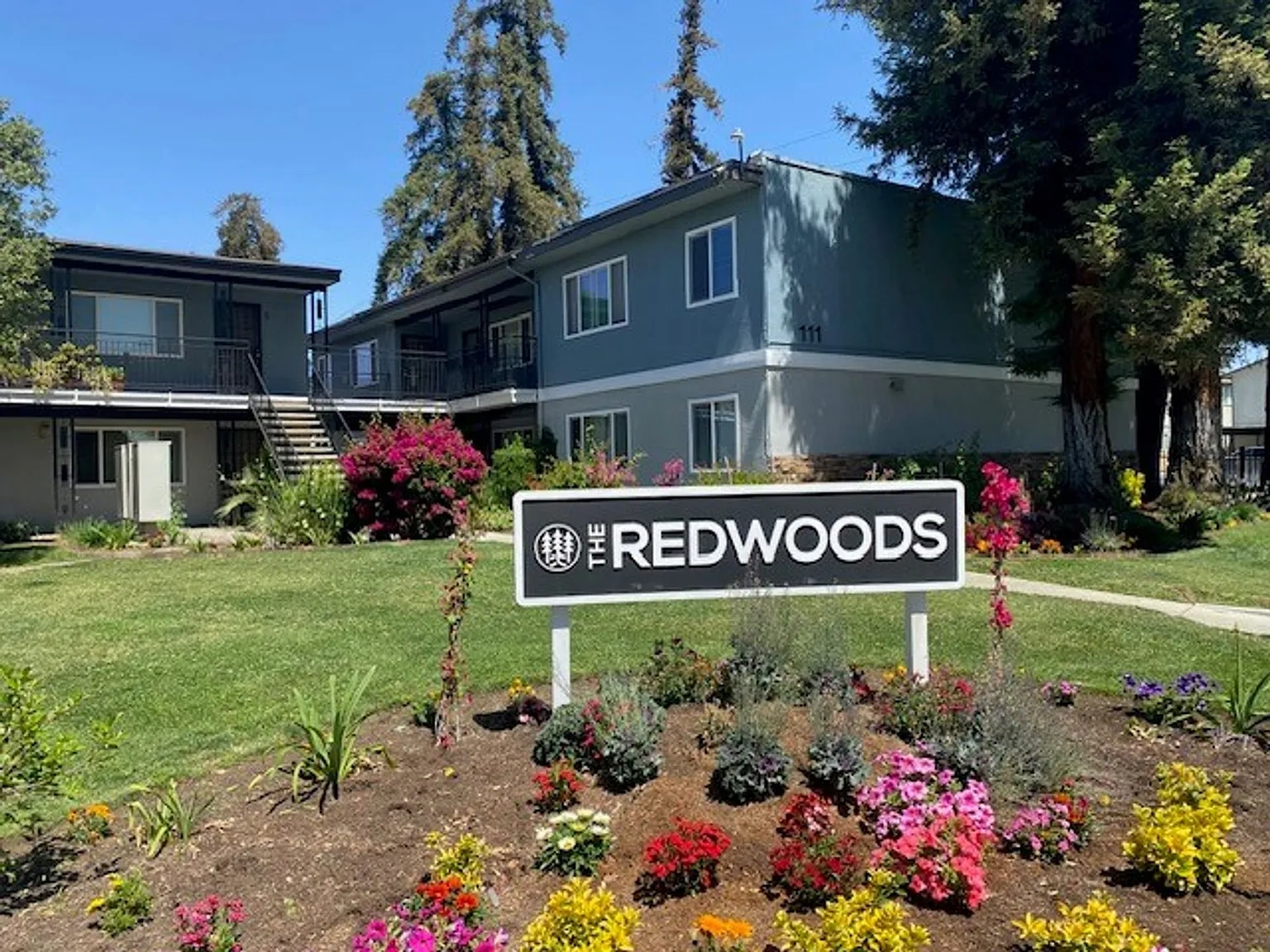 The Redwoods – photo 3