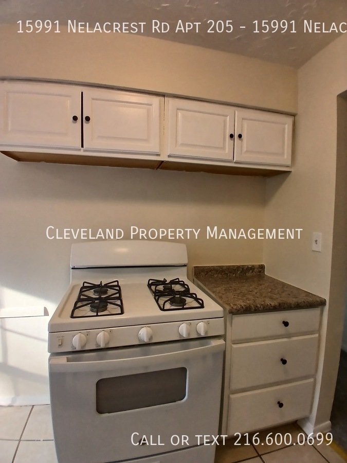 15991 Nelacrest Rd unit 205 – photo 4