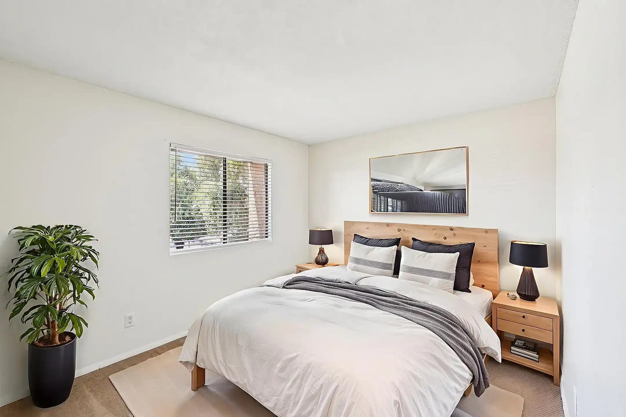 Solano - 5350 N 17th Ave - Phoenix, AZ | Rent.