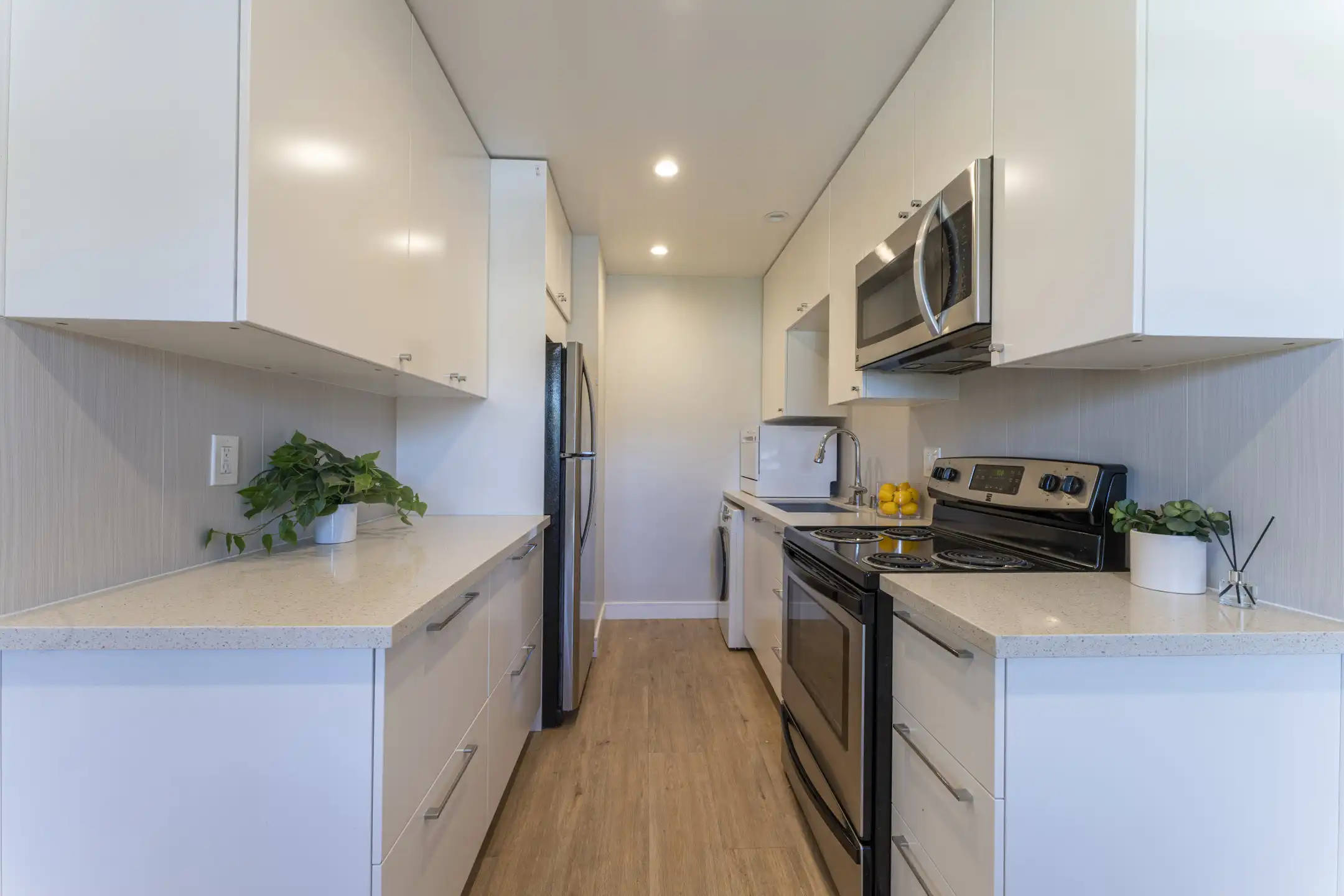 Sunnyvale Veterinary El Camino Veterinary Clinic 988 E El Camino