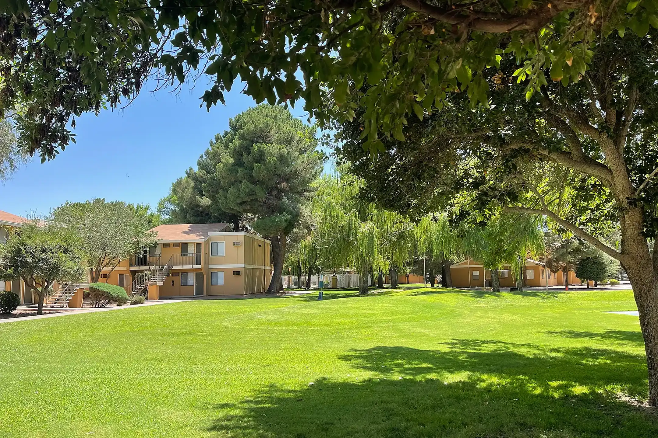 Desert Tree 9300 Montana Ave El Paso, TX