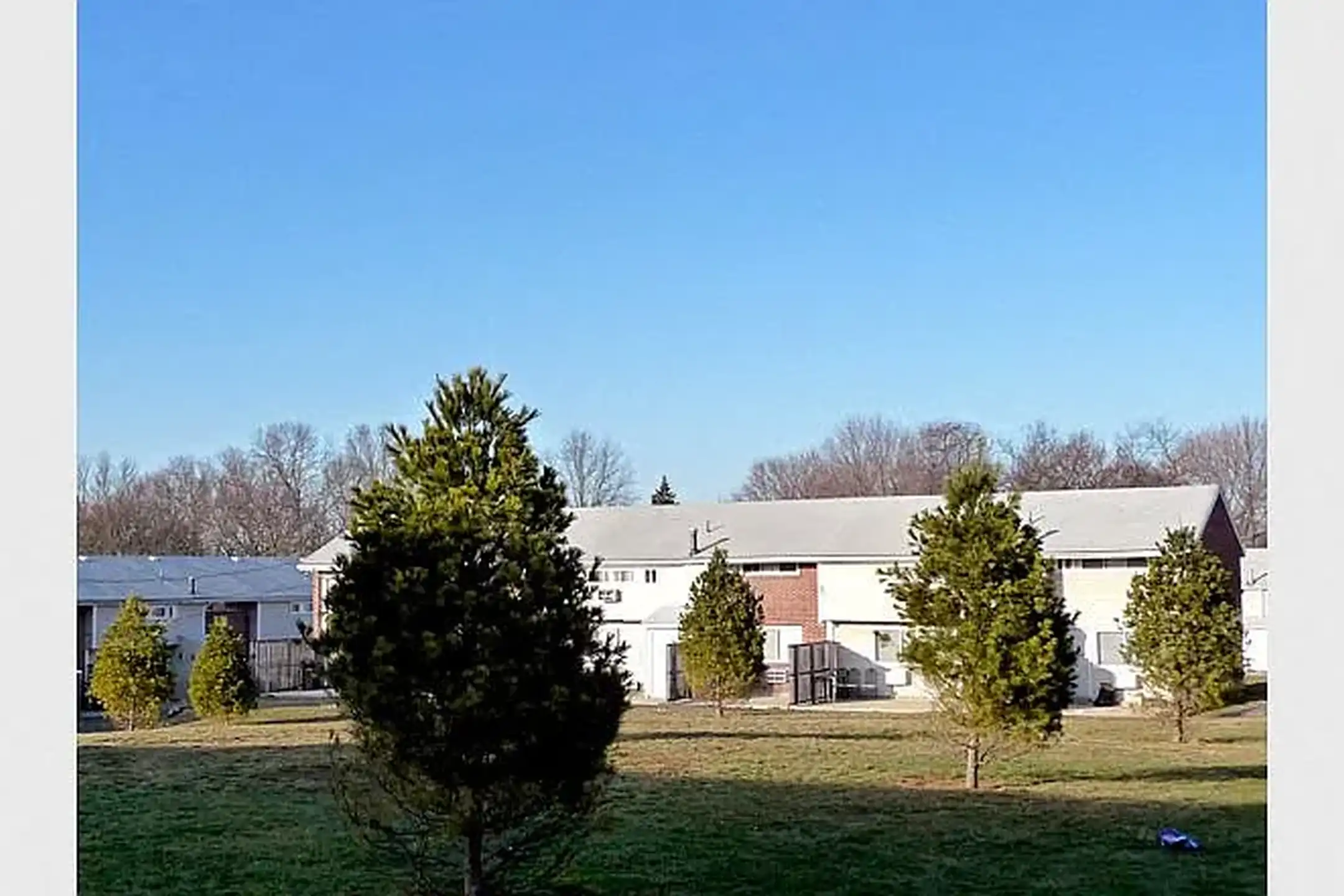 Shelton Ct Shoreline Emergency Vet Red Carnations Glitter