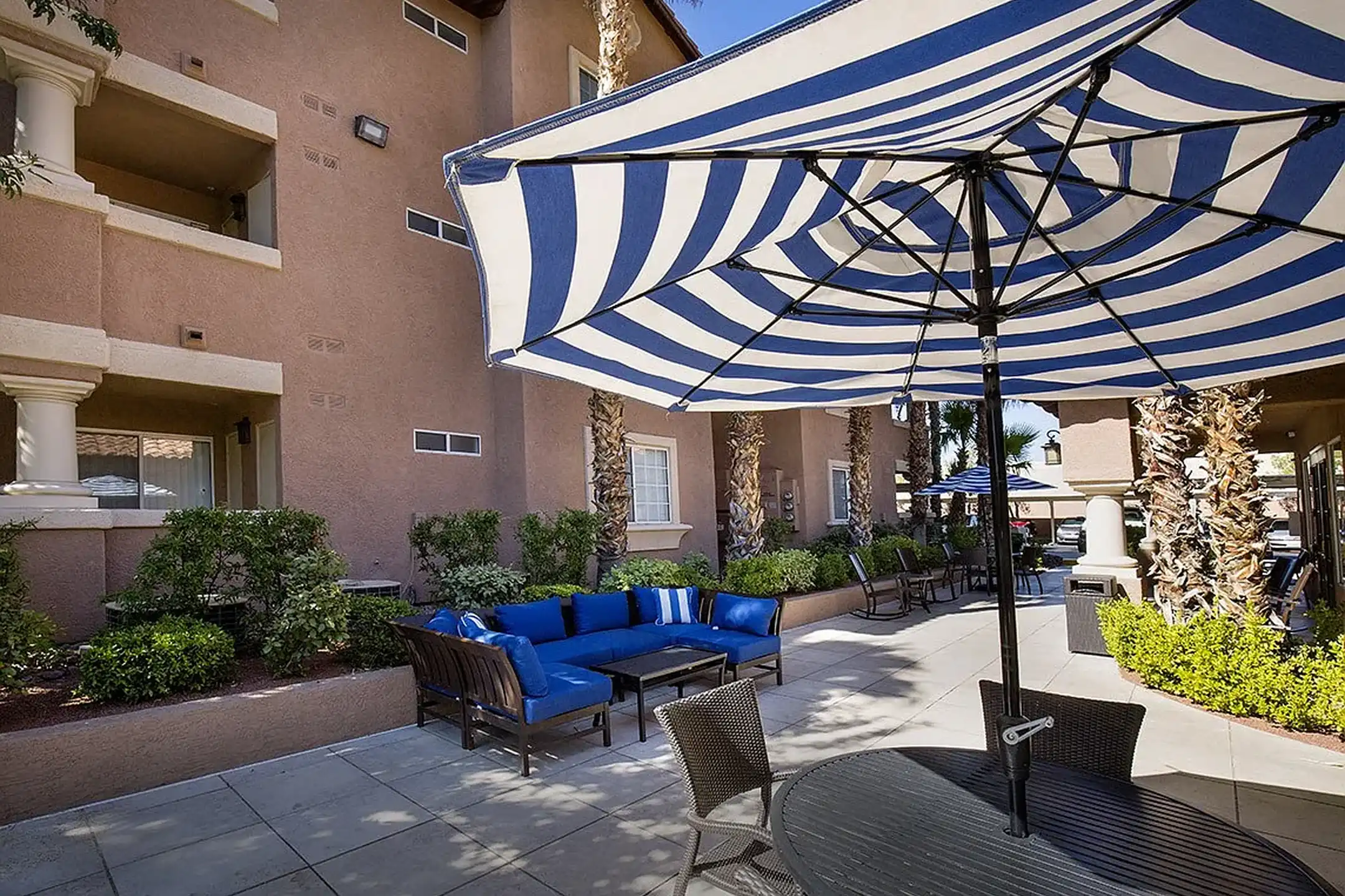 Winterhaven senior apartments 3300 winterhaven st las vegas nv rent 
