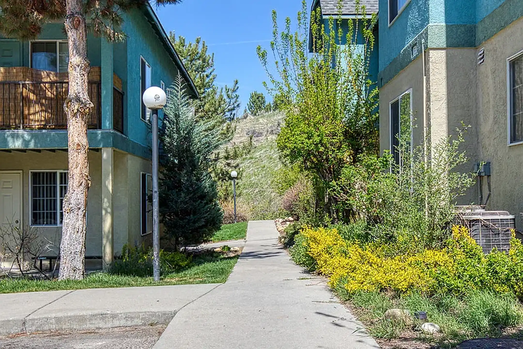 Camels Back 1412 W Camel Back Ln Boise, ID