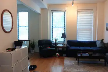 1508 N Elk Grove Ave unit 165 #2 Chicago, IL