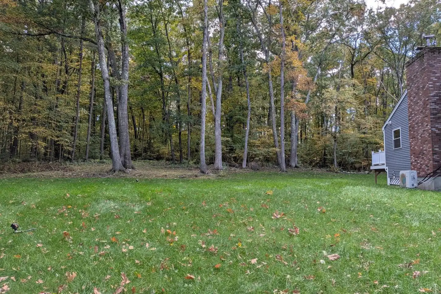 129 Forrest St - Plaistow, NH | Rent.