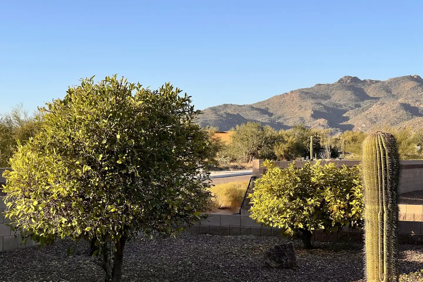 5367 W Senita Cactus Court # - Marana, AZ | Rent.