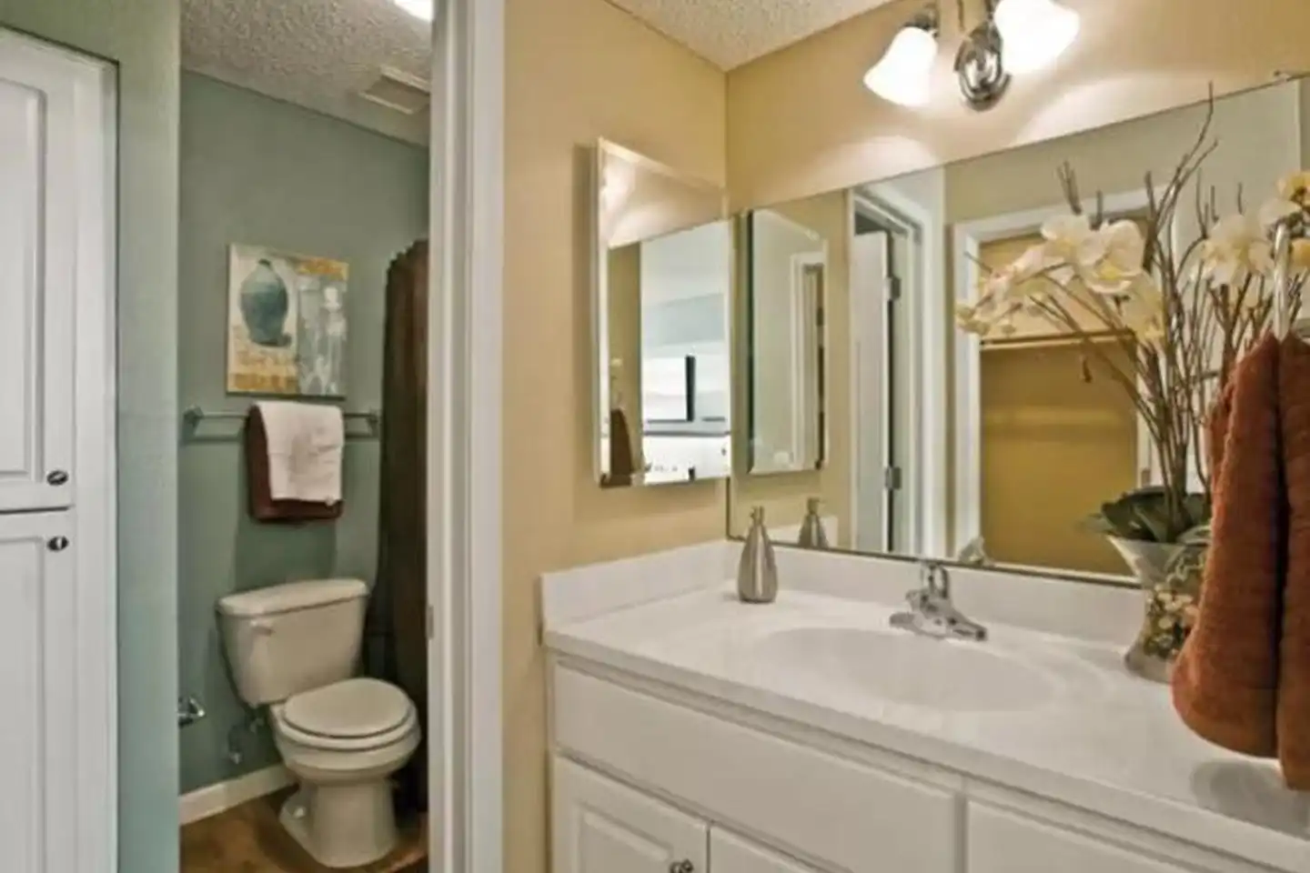 4202 E Cactus Rd - Phoenix, AZ | Rent.