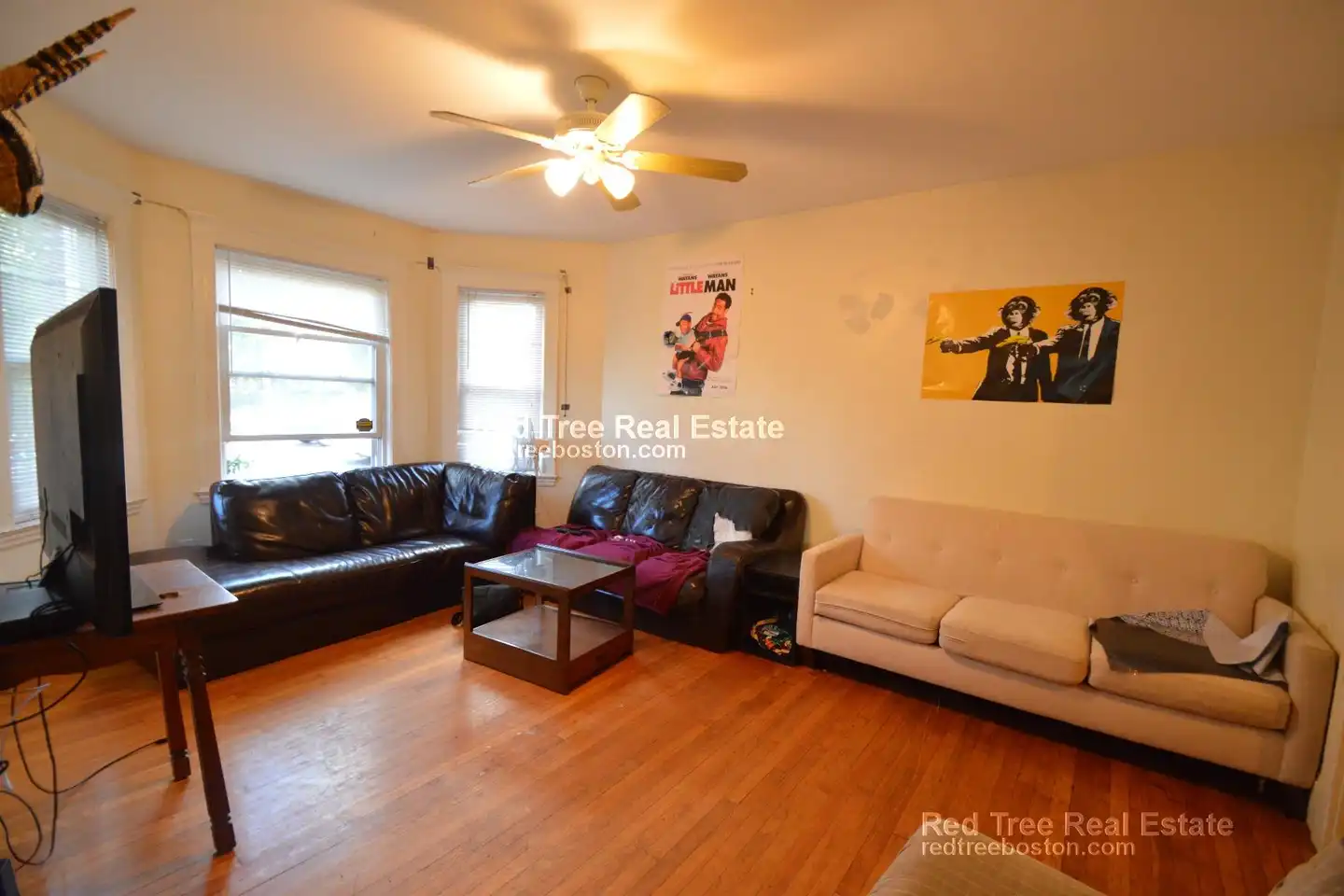 209 Chestnut Hill Ave unit 1 - Boston, MA | Rent.